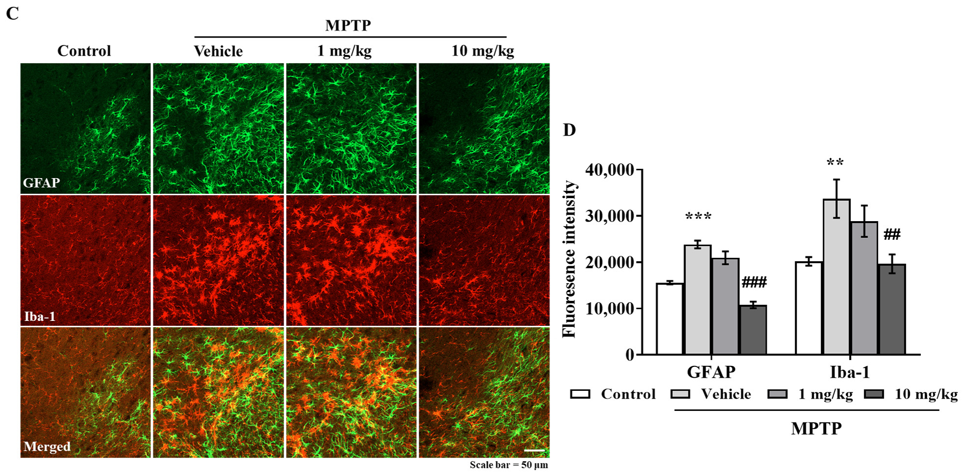 Antioxidants 10 01855 g006b