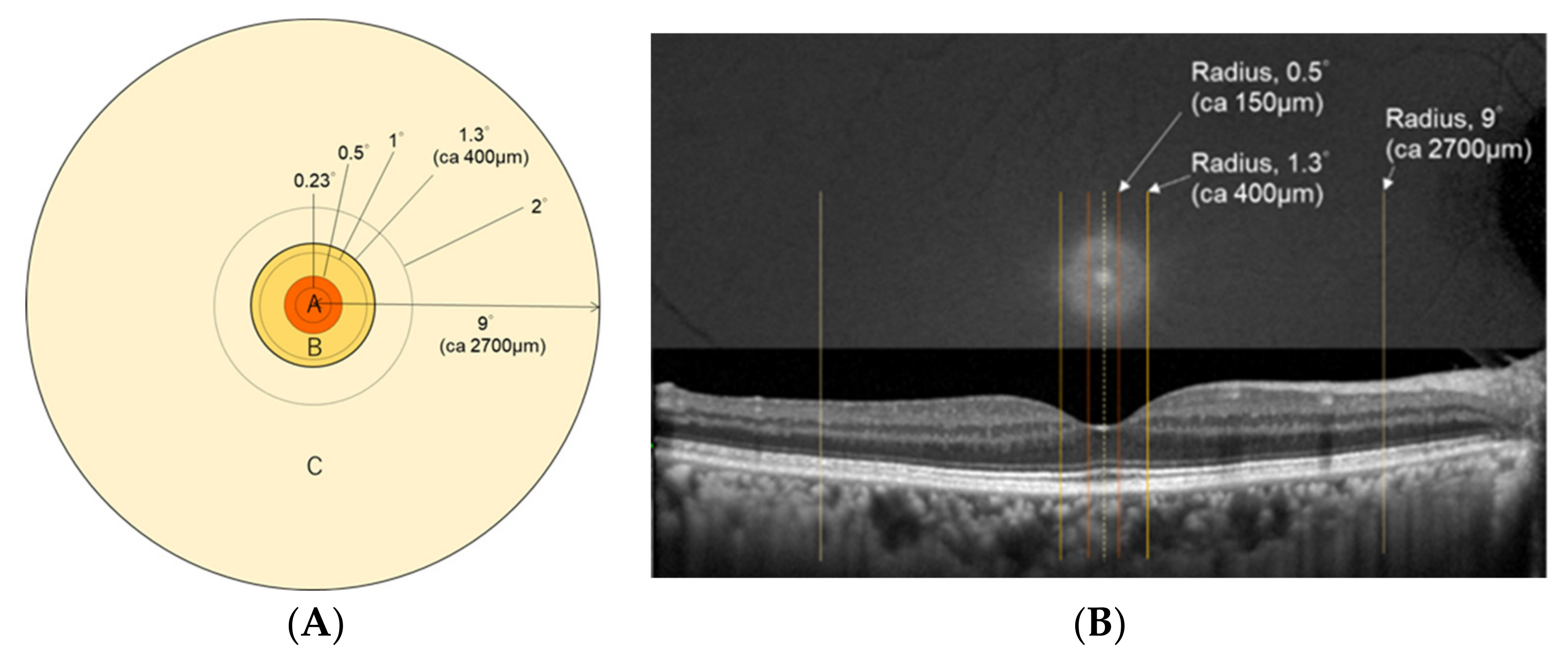 Antioxidants 10 01857 g002