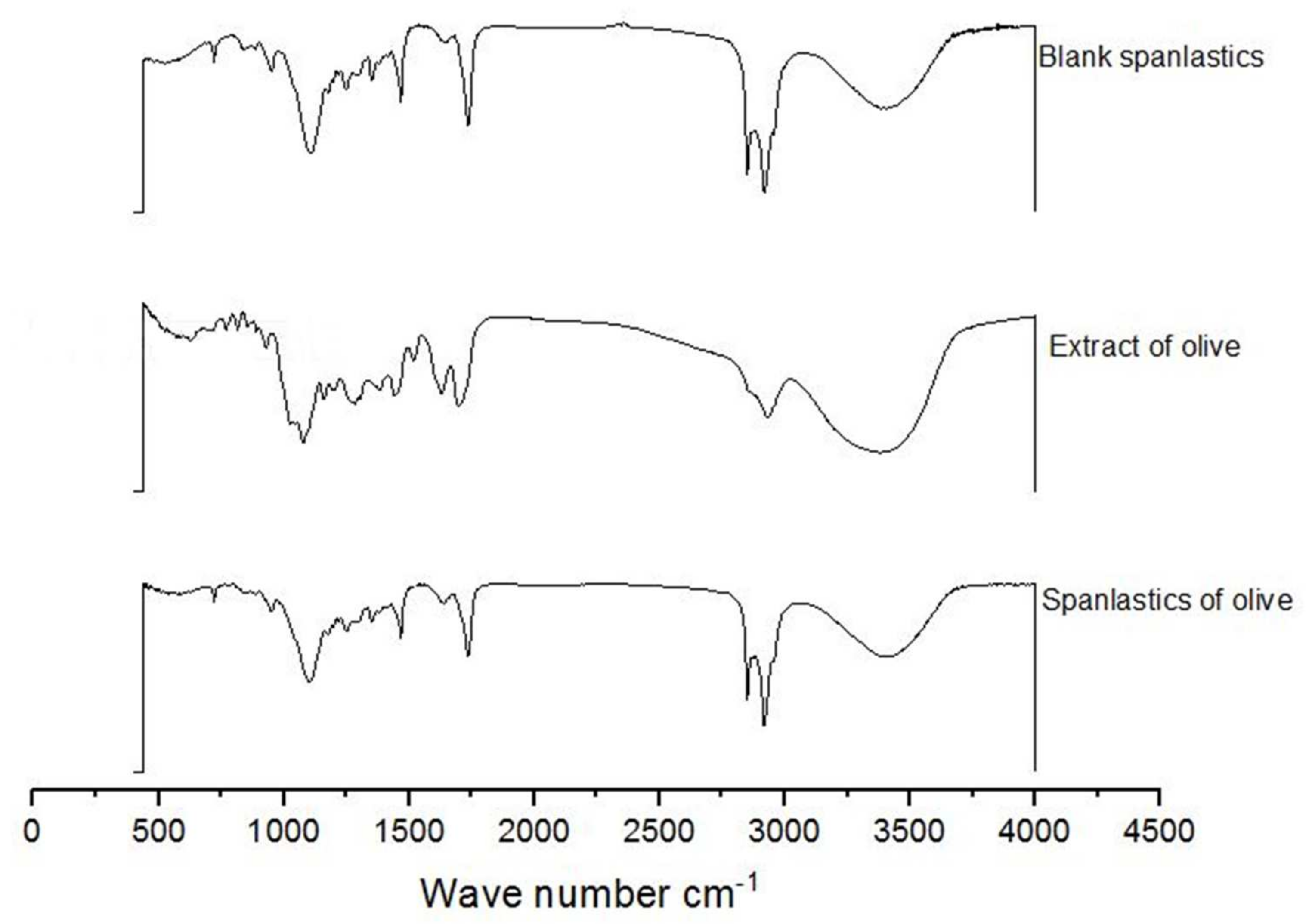 Antioxidants 10 01860 g006