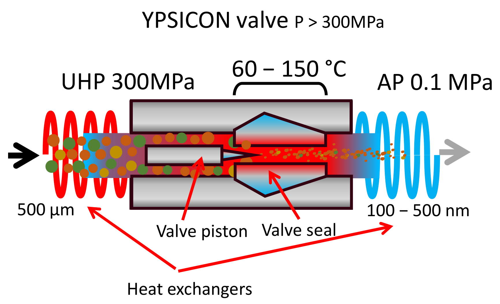 Antioxidants 10 01863 g004