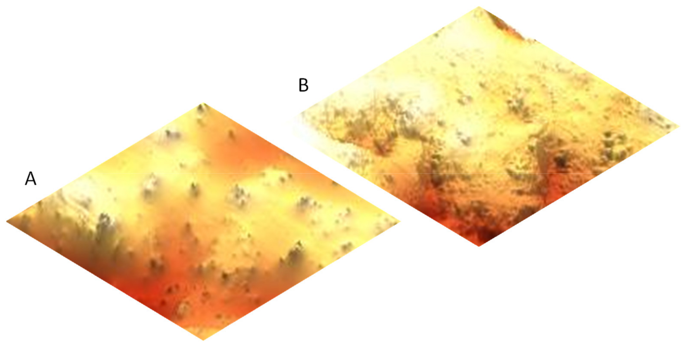 Antioxidants 10 01863 g005