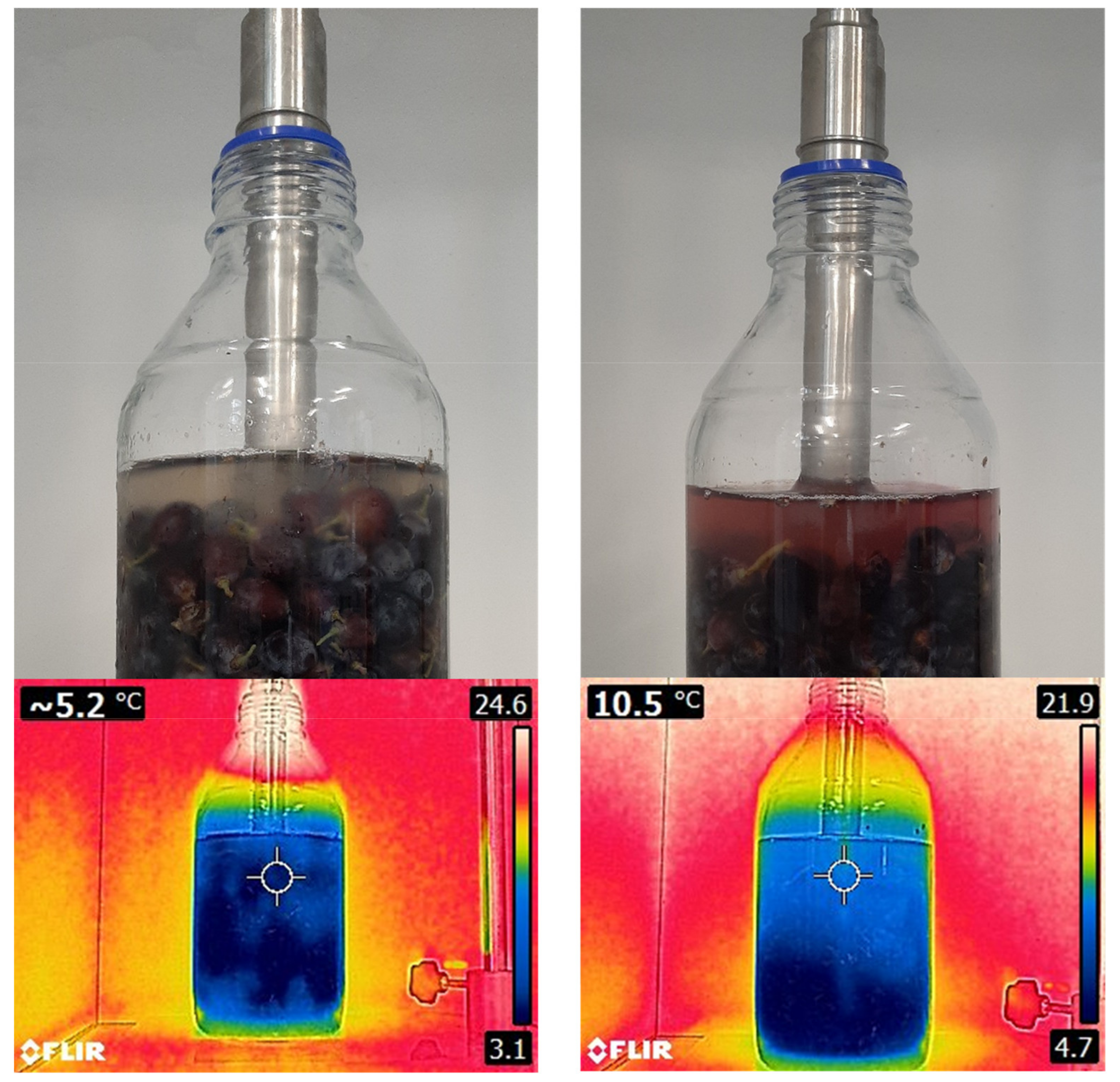 Antioxidants 10 01863 g009