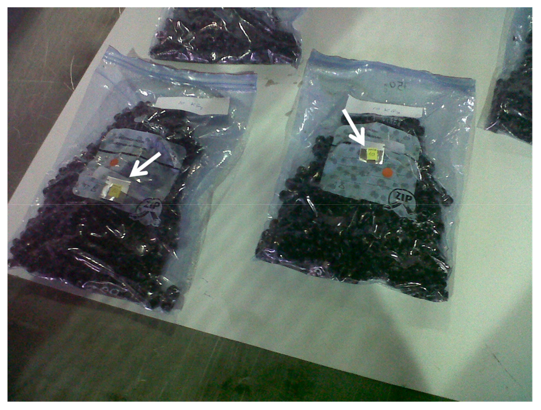 Antioxidants 10 01863 g011