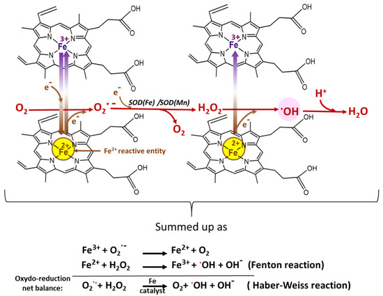Antioxidants 10 01872 g006