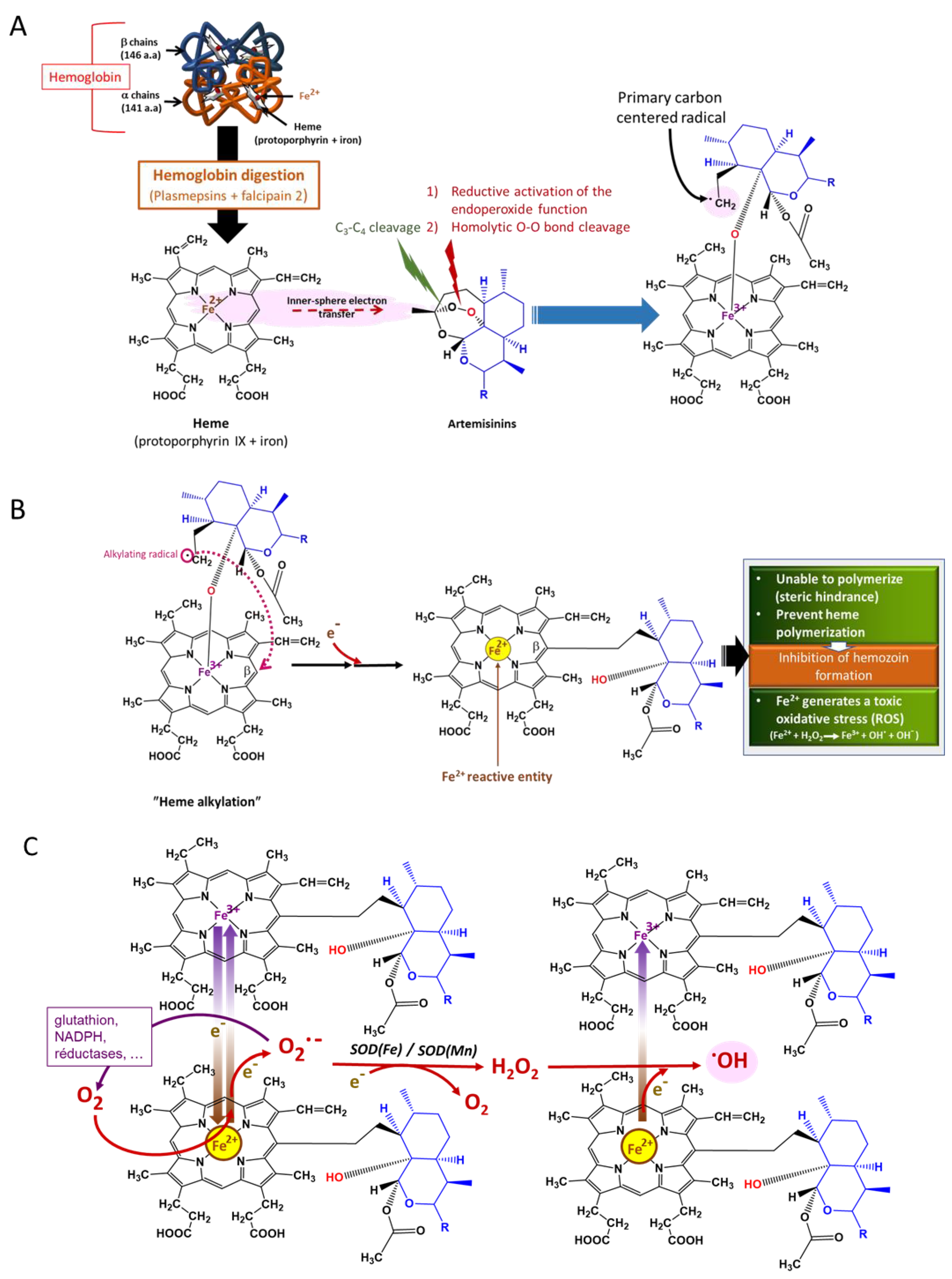 Antioxidants 10 01872 g009 Antioxidants 10 01872 g009