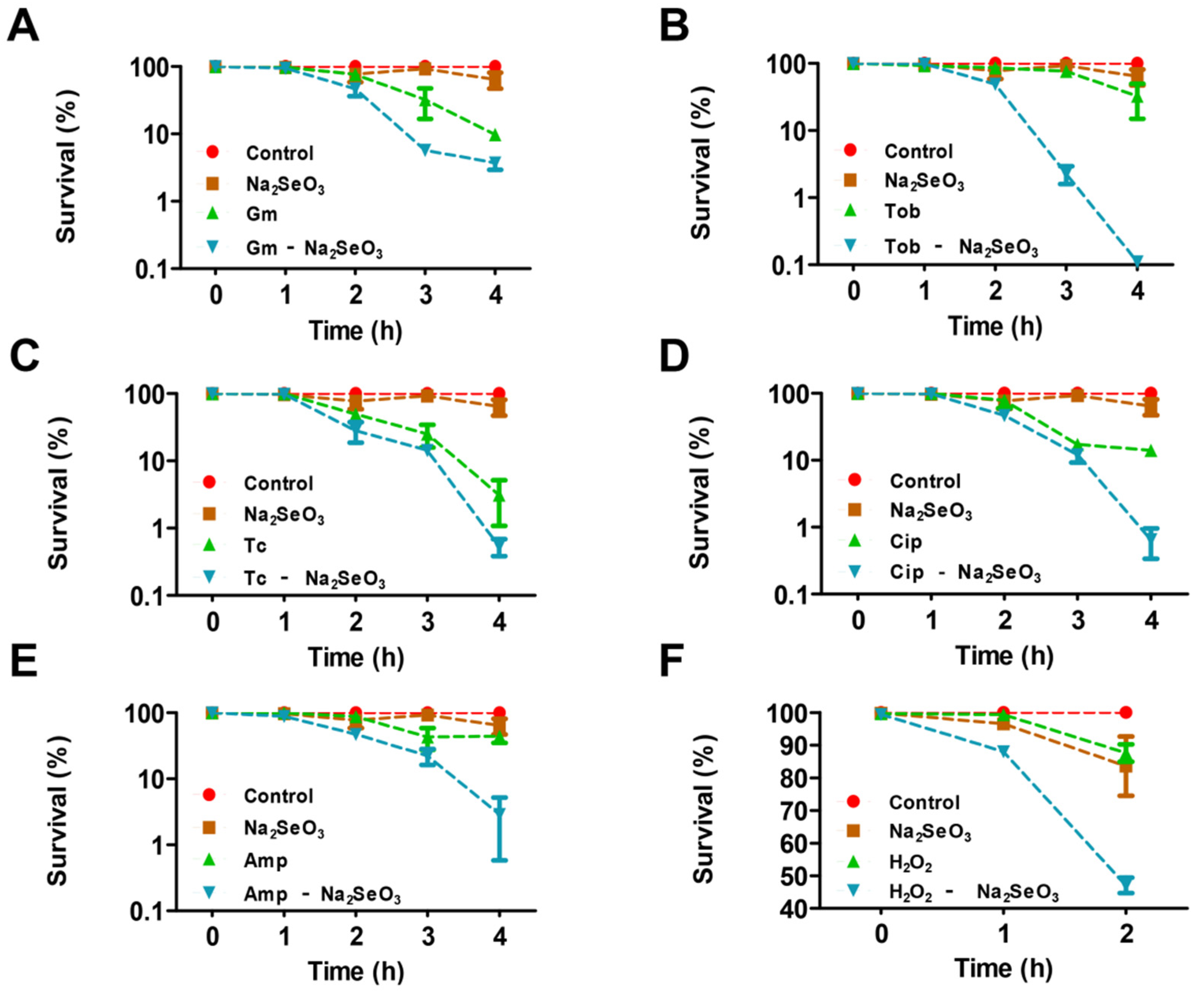 Antioxidants 10 01873 g001