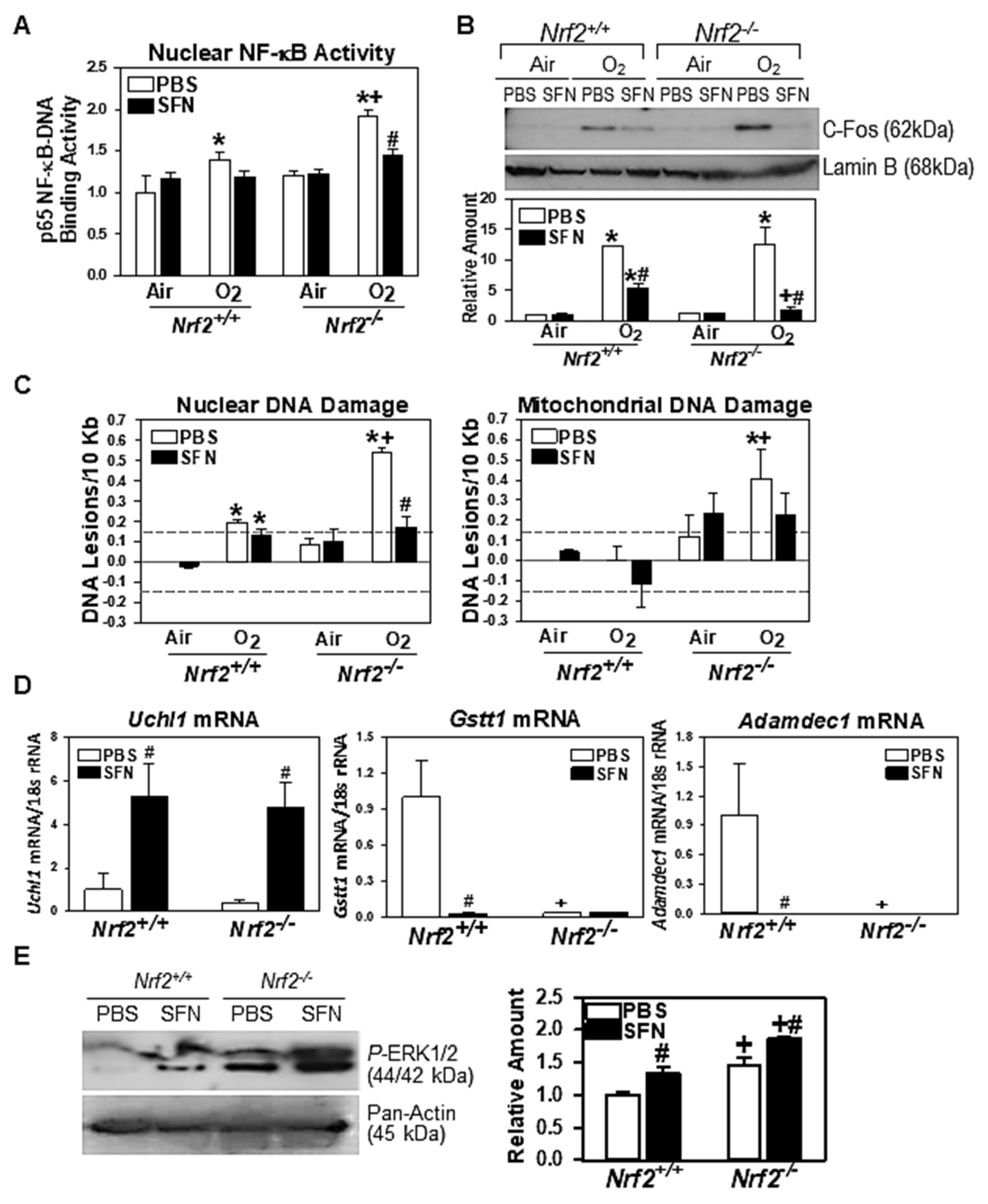 Antioxidants 10 01874 g010