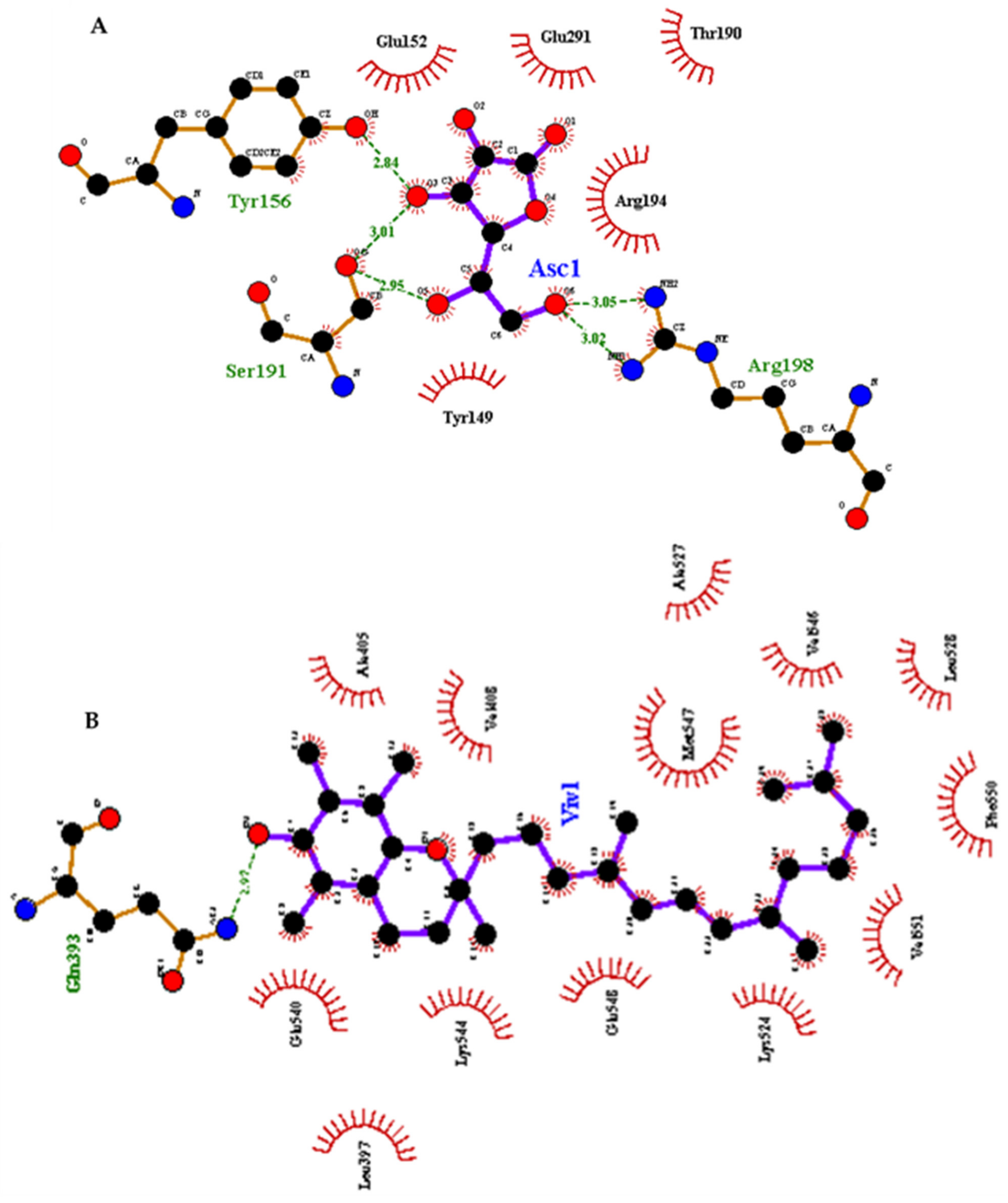 Antioxidants 10 01875 g014