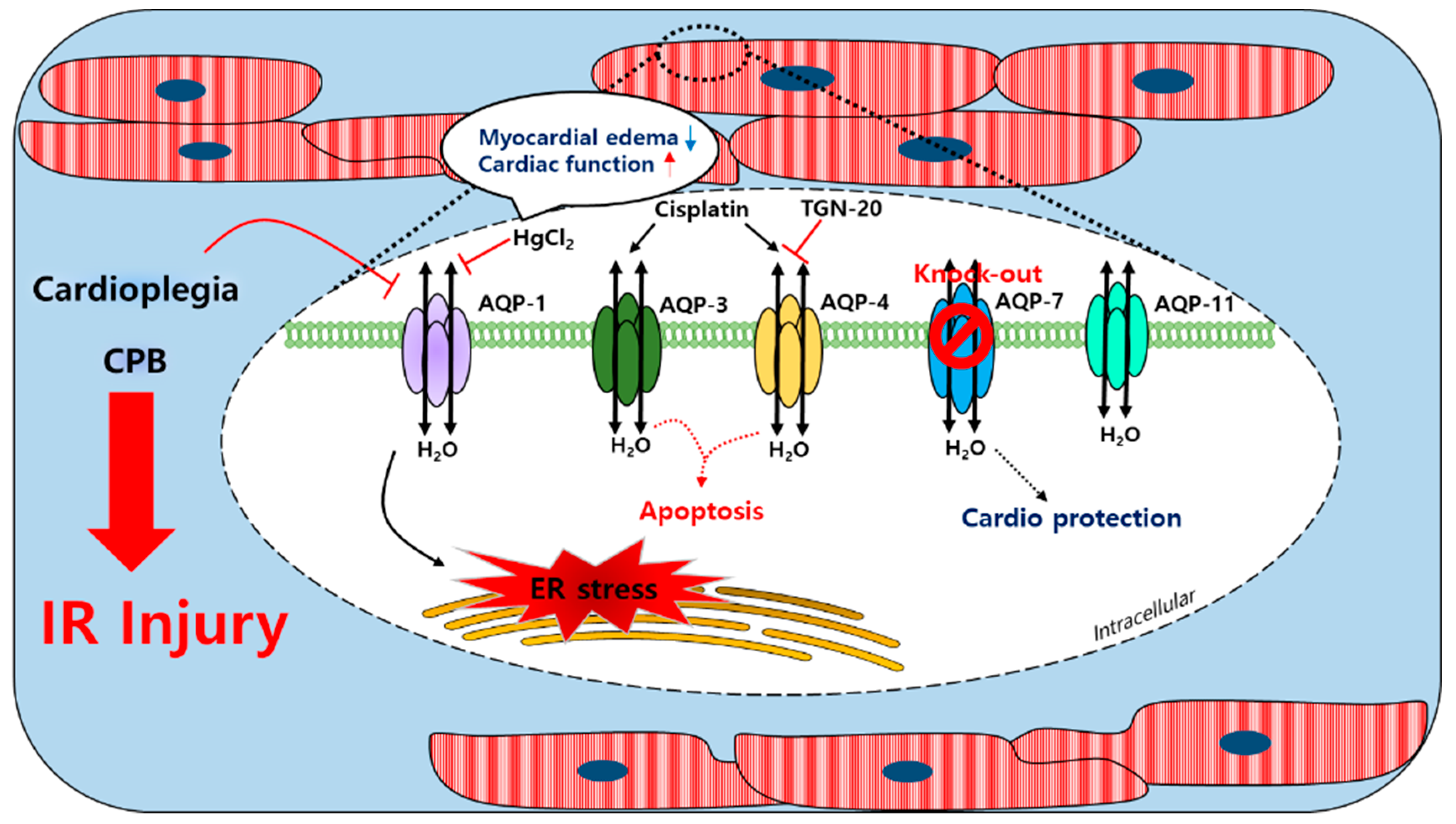 Antioxidants 10 01878 g002
