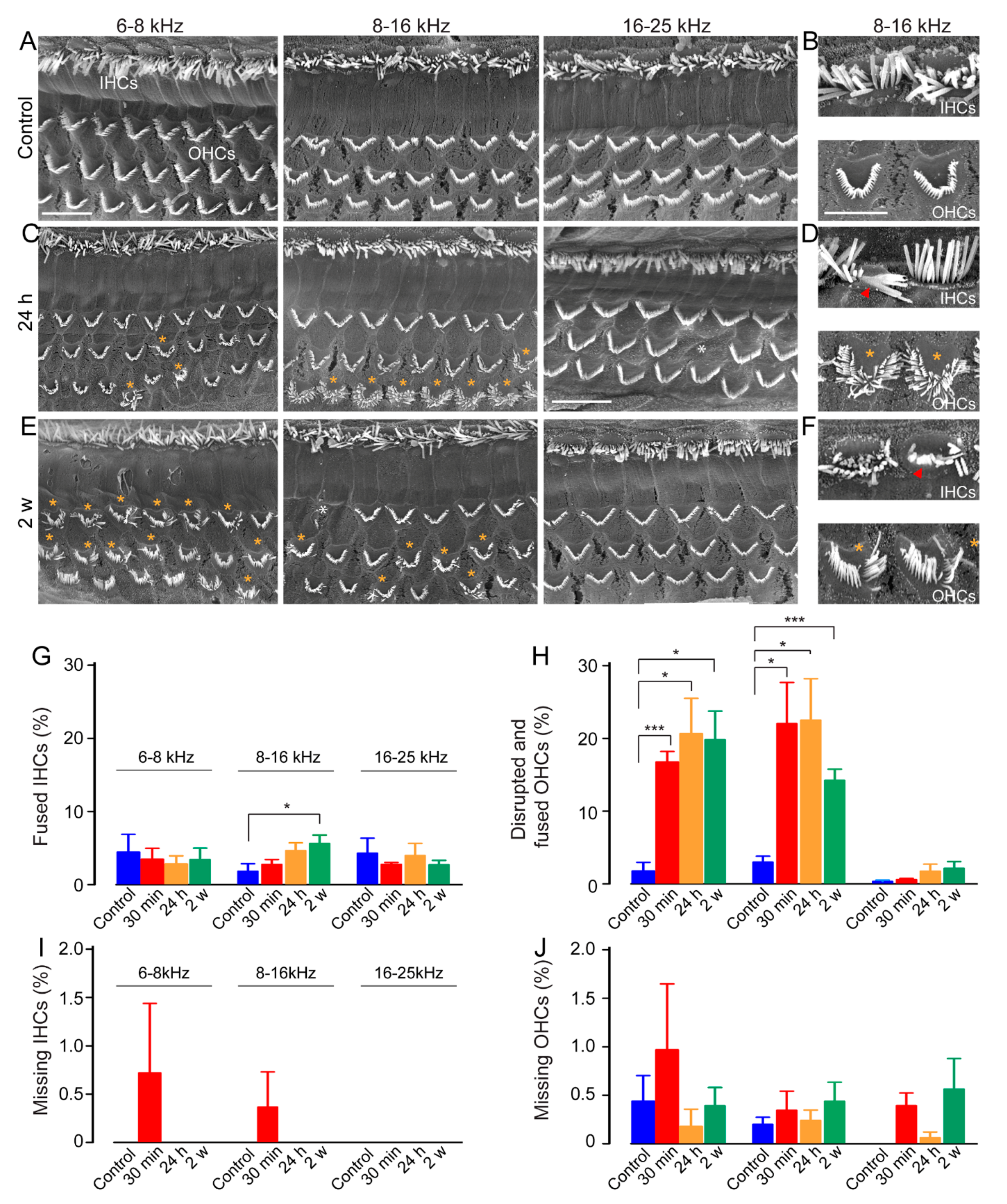 Antioxidants 10 01880 g004