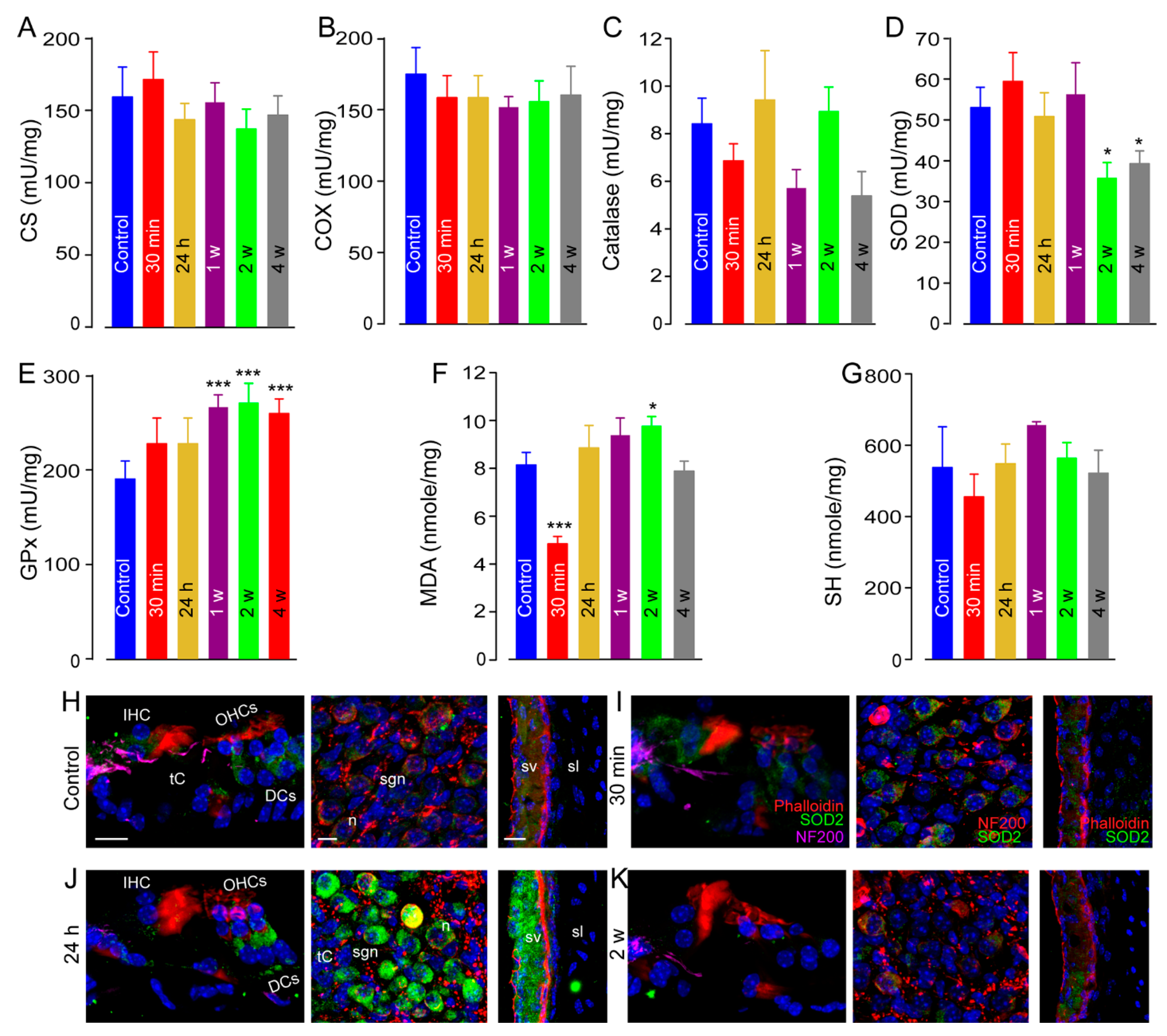 Antioxidants 10 01880 g006