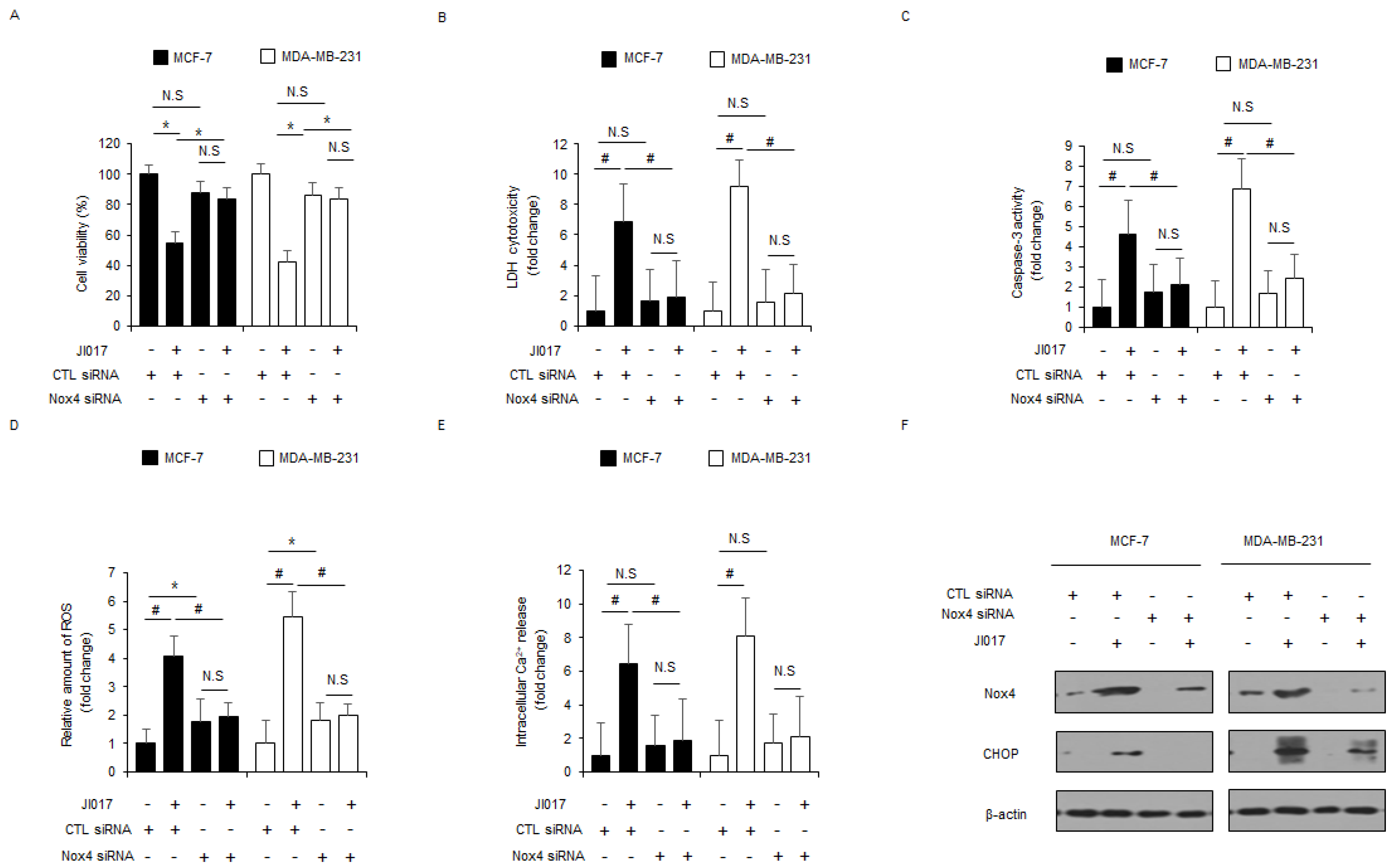 Antioxidants 10 01881 g005