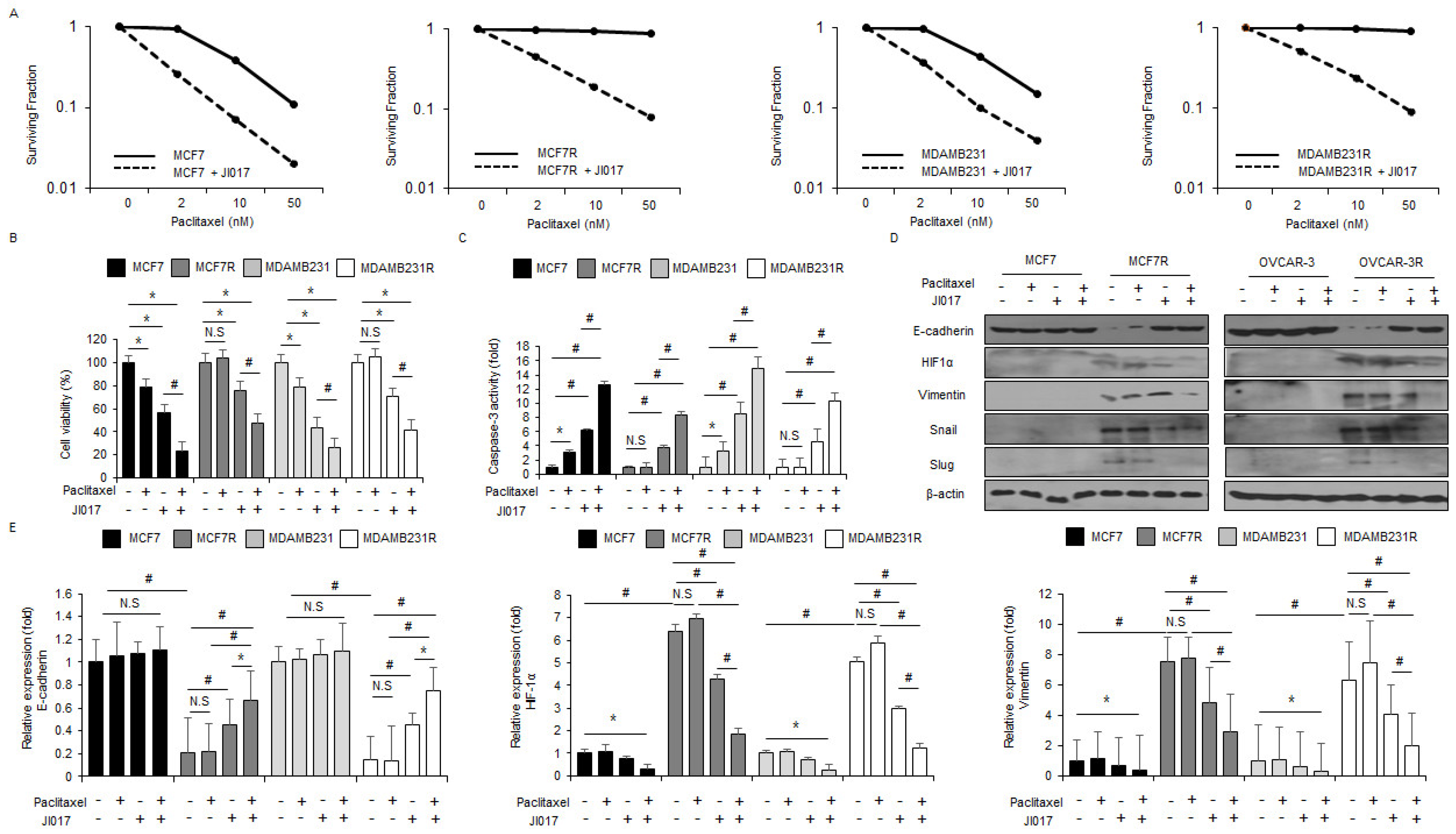 Antioxidants 10 01881 g006