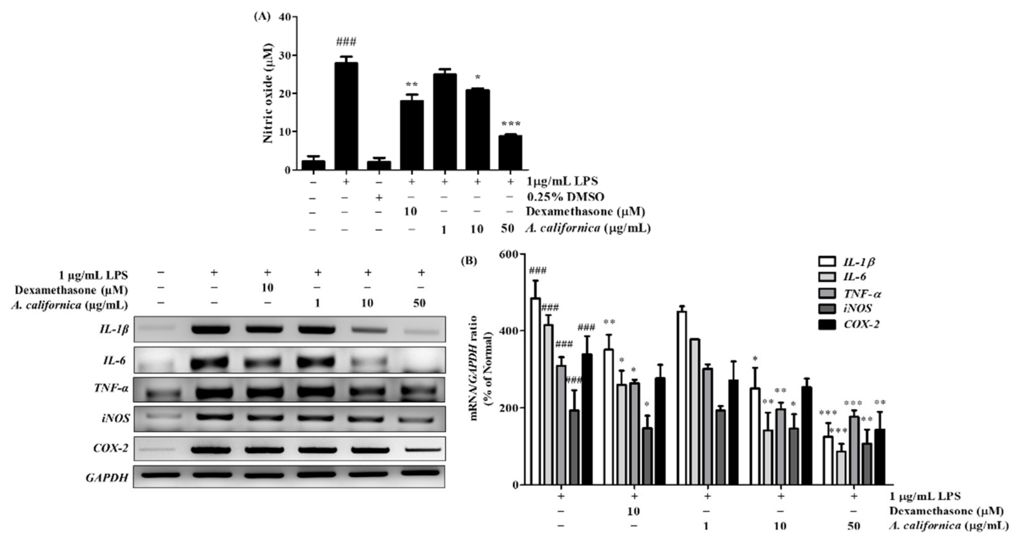 Antioxidants 10 01882 g003