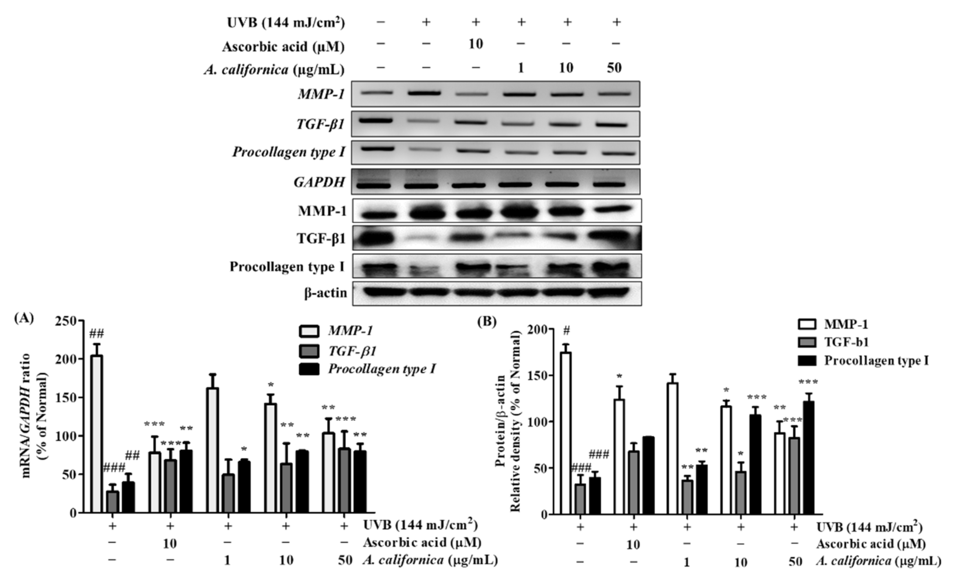 Antioxidants 10 01882 g006