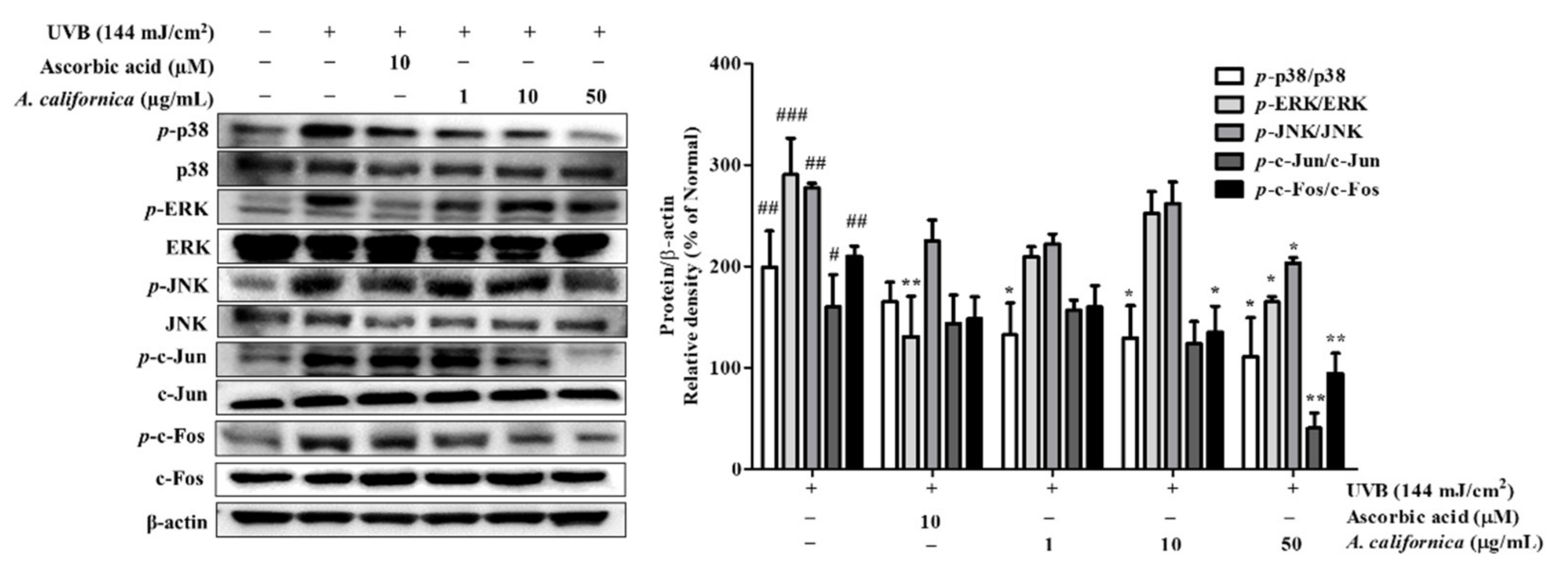 Antioxidants 10 01882 g007