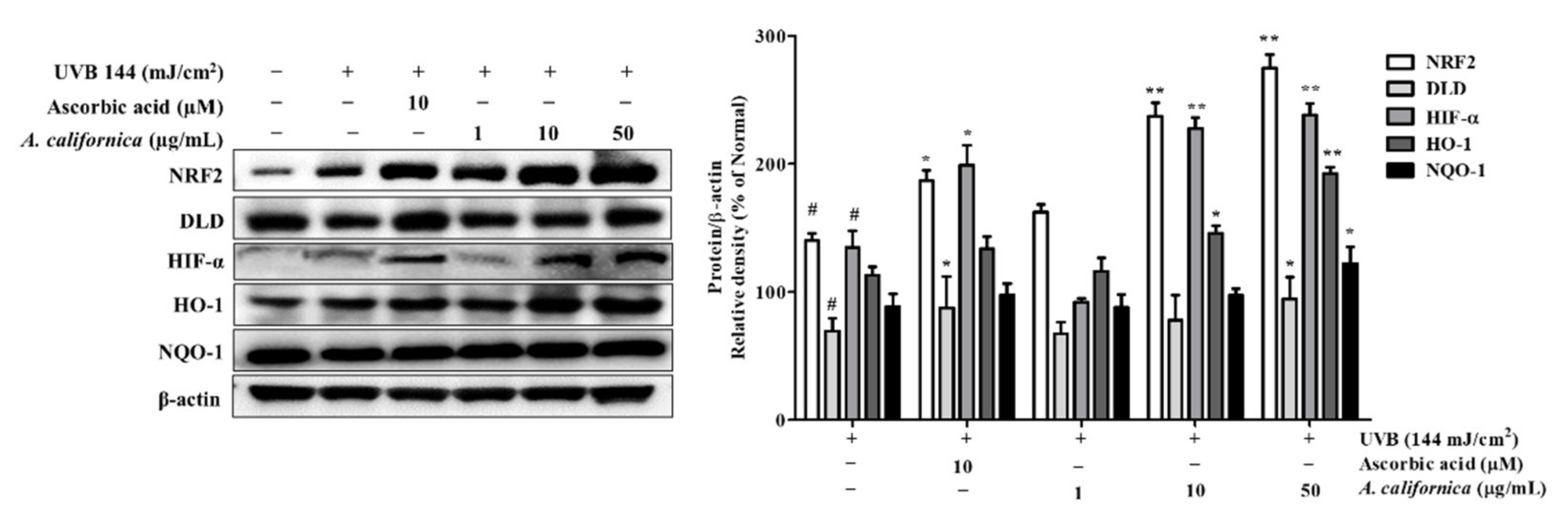 Antioxidants 10 01882 g008