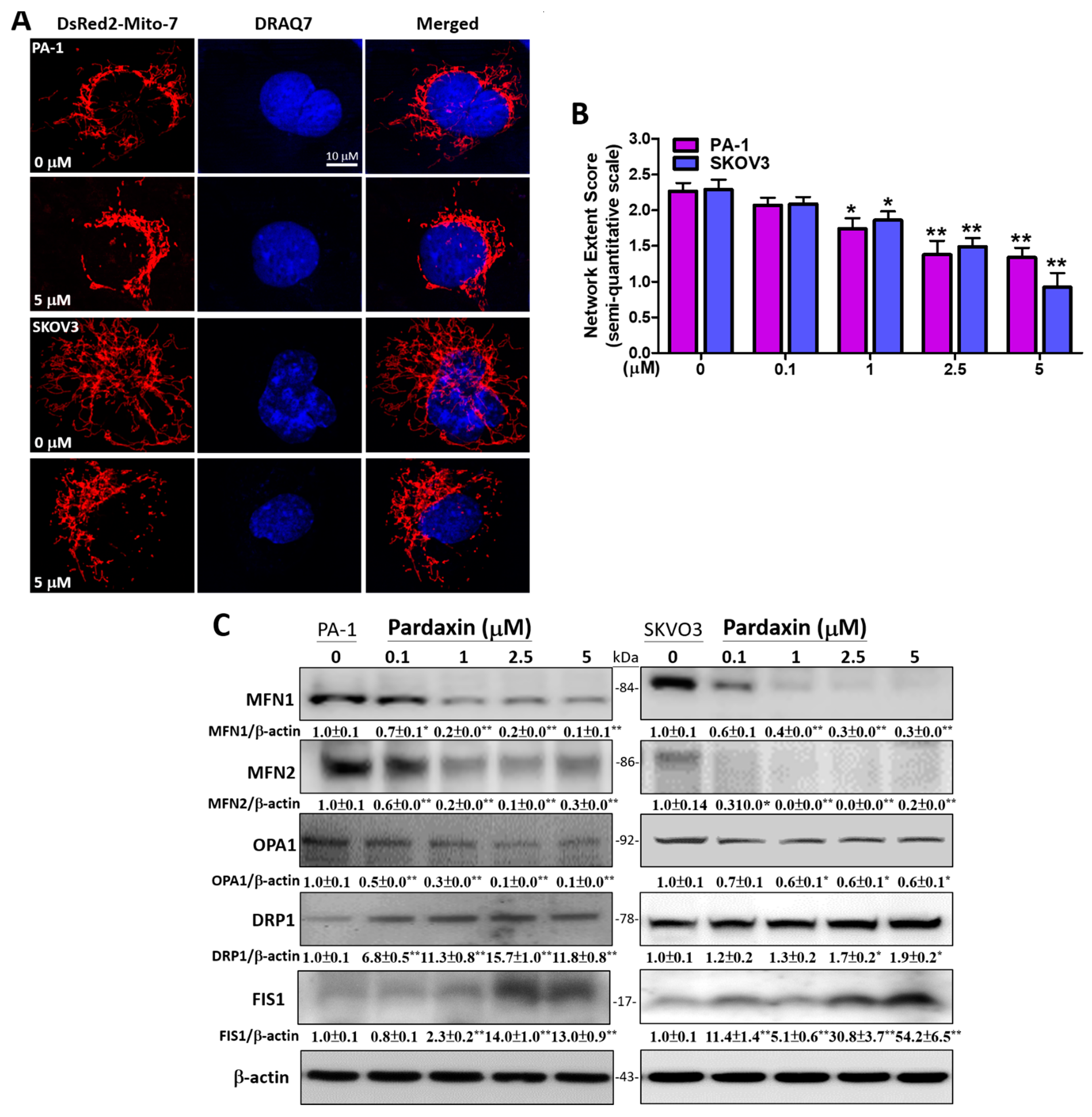Antioxidants 10 01883 g005