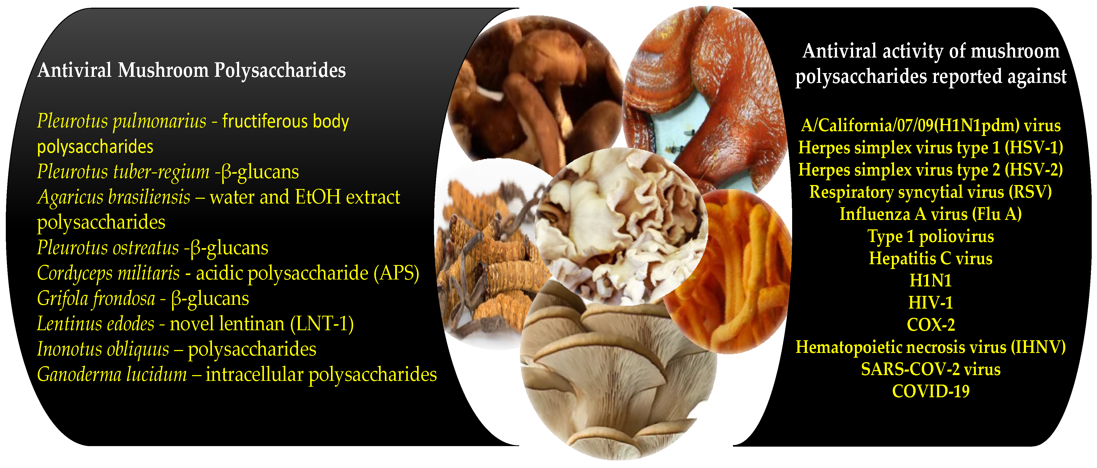 Antioxidants 10 01899 g002