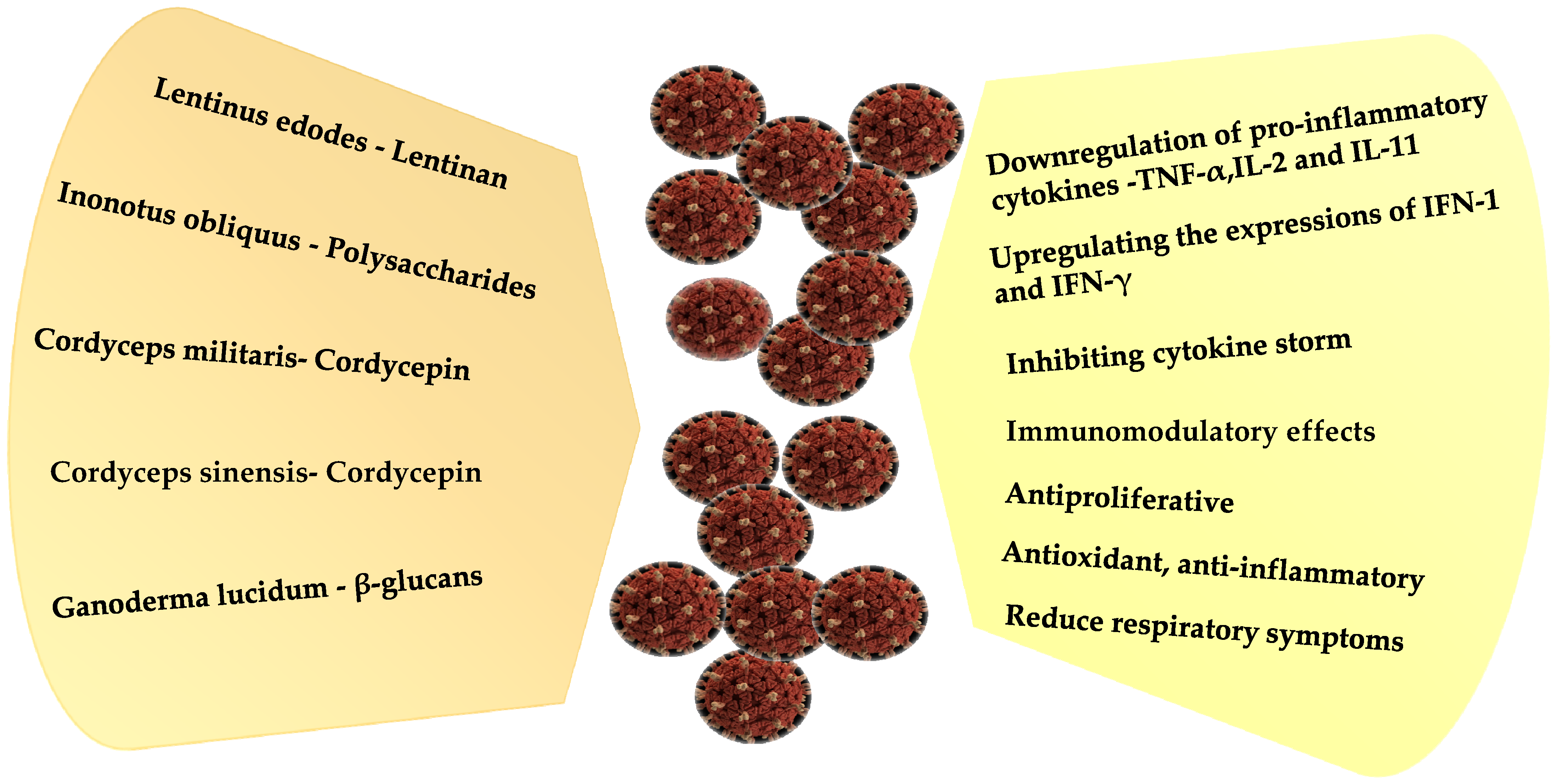 Antioxidants 10 01899 g003