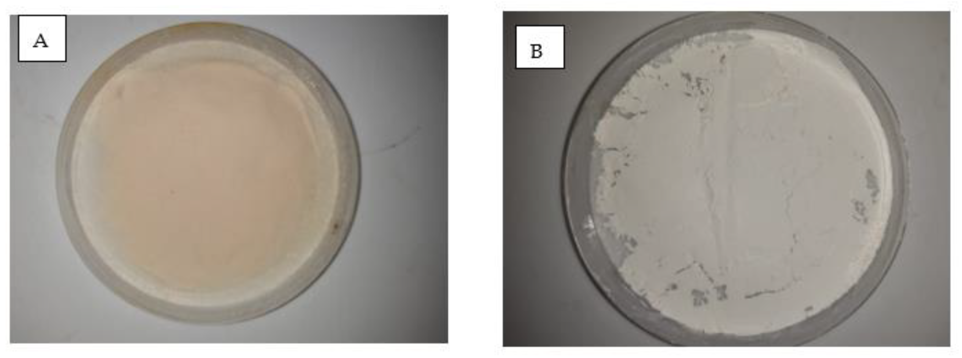 Antioxidants 10 01900 g001