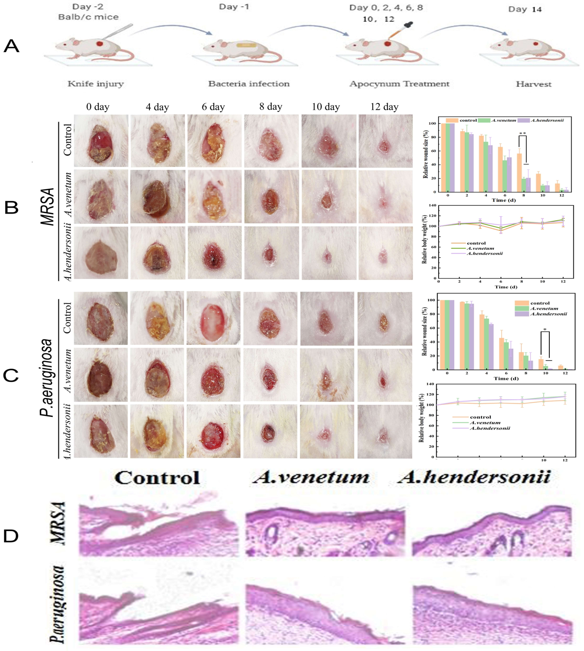 Antioxidants 10 01901 g005