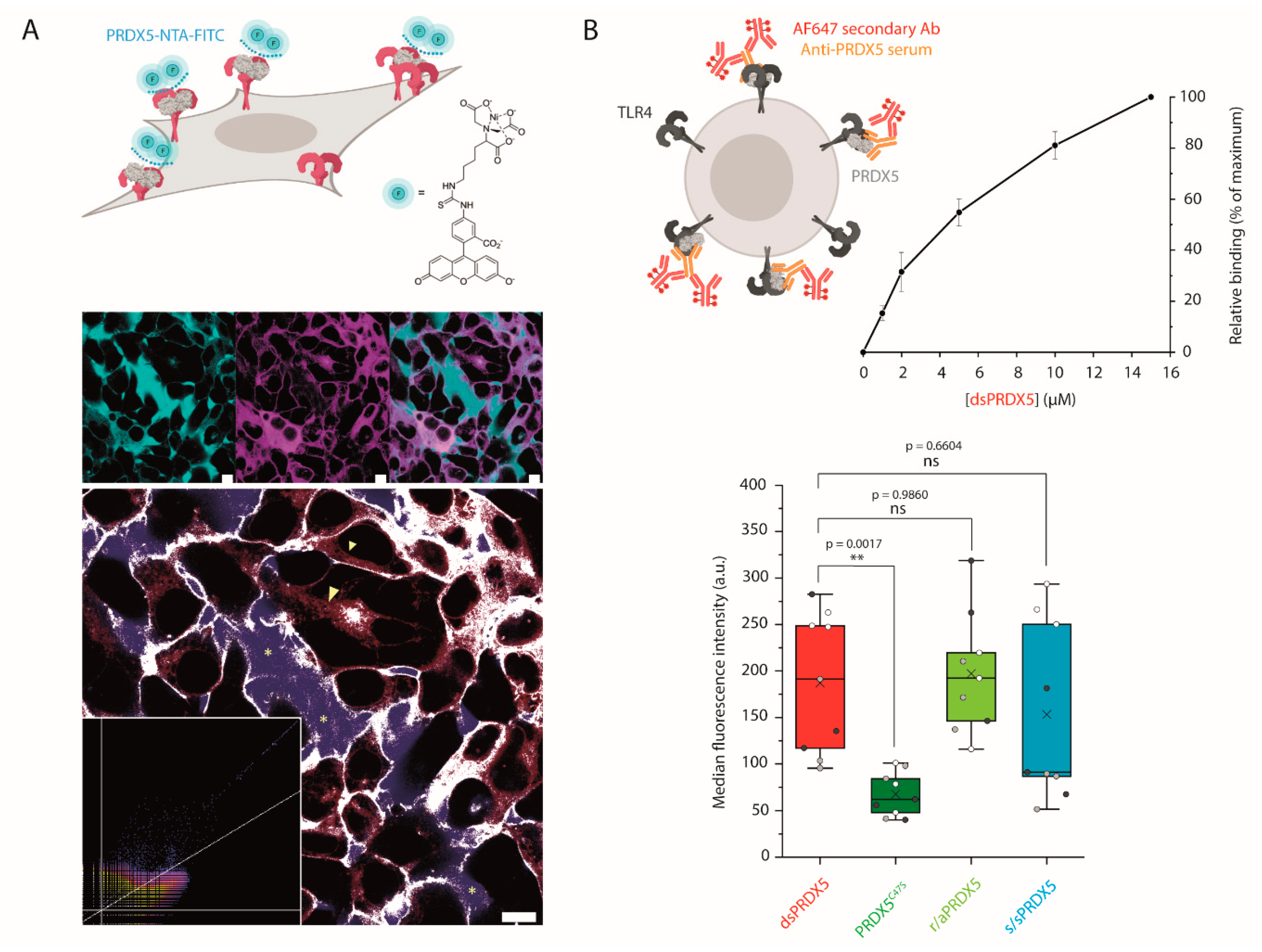 Antioxidants 10 01902 g005