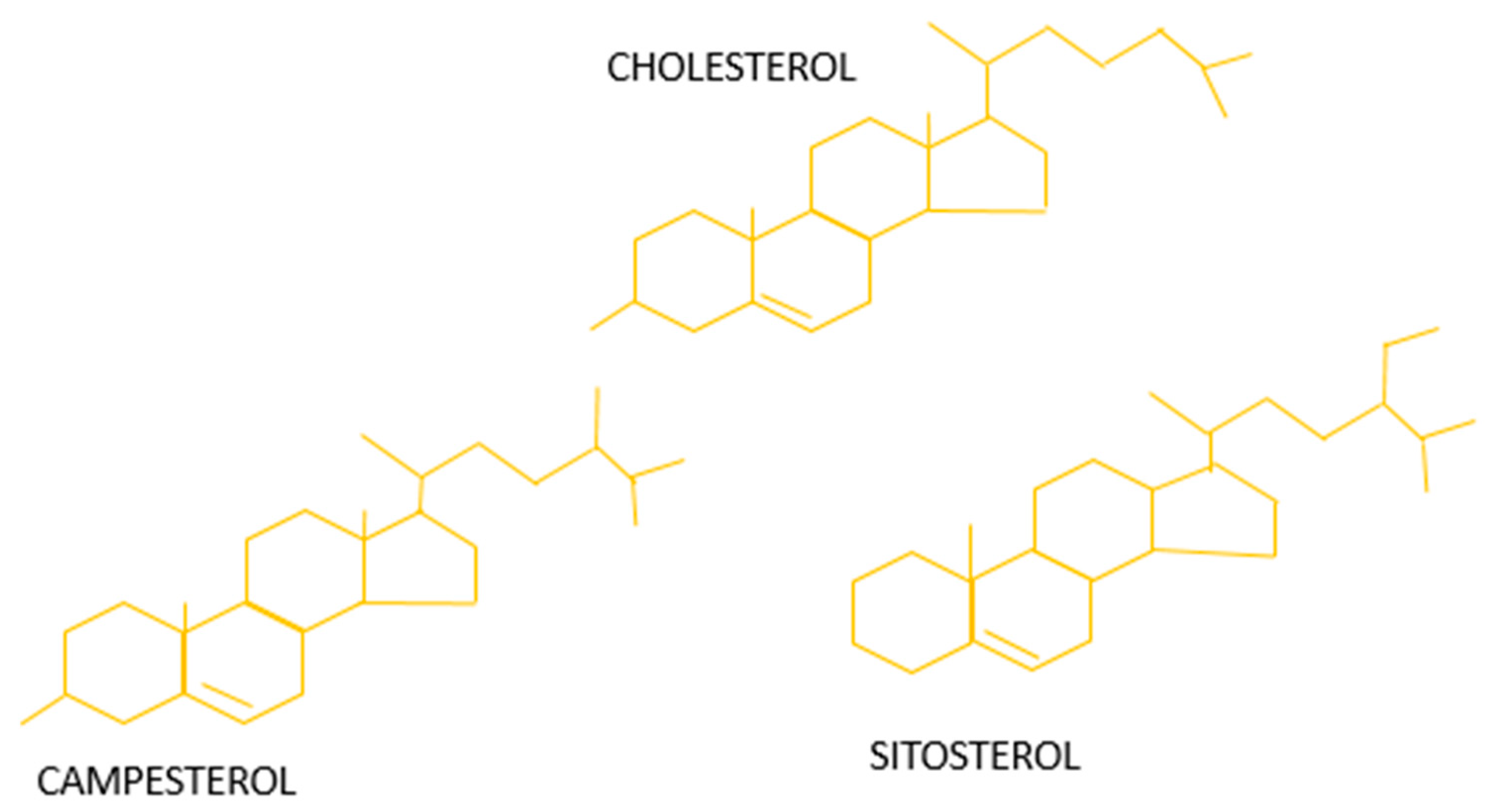 Antioxidants 10 01903 g002 Antioxidants 10 01903 g002