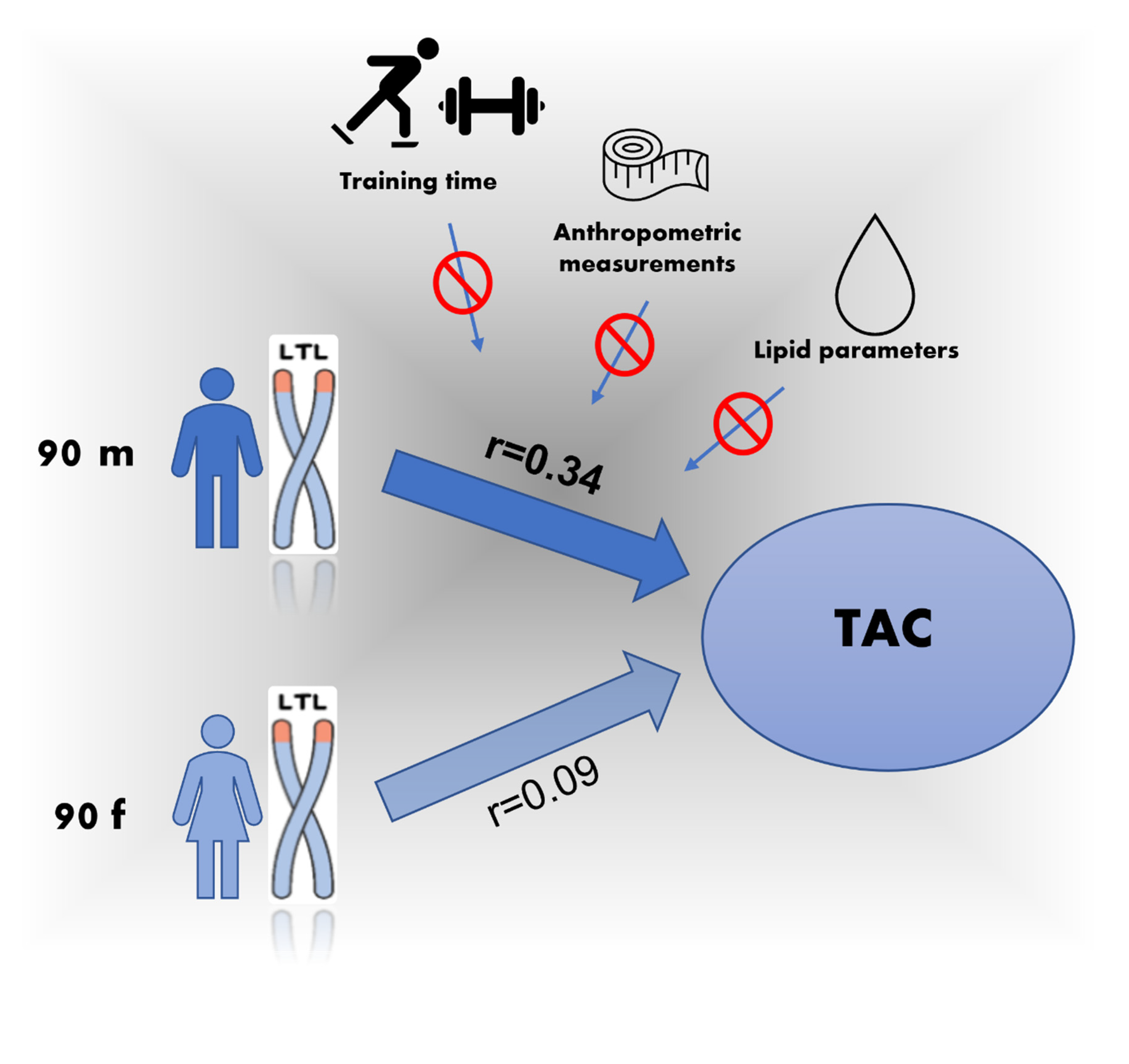 Antioxidants 10 01908 g002