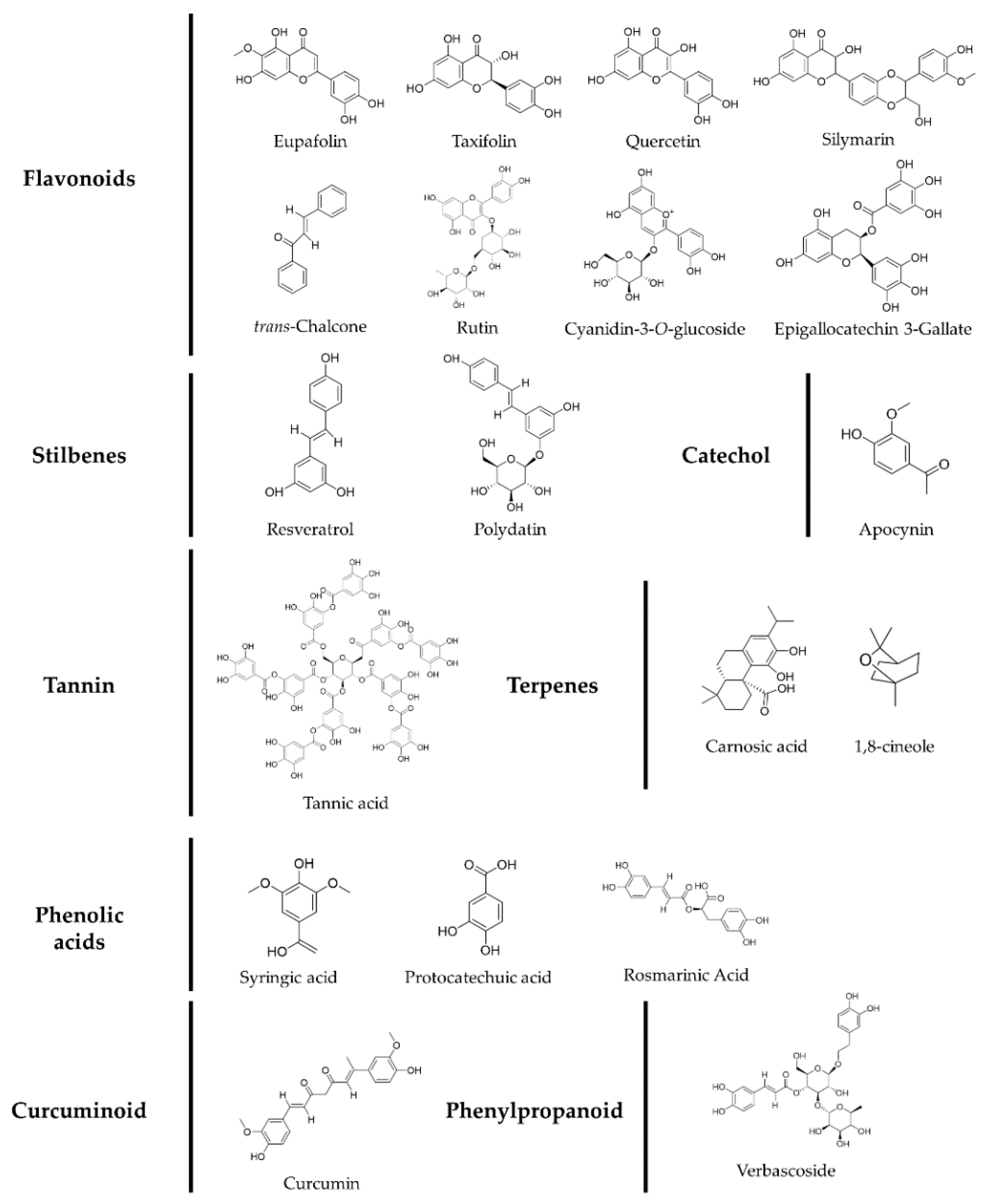 Antioxidants 10 01909 g004