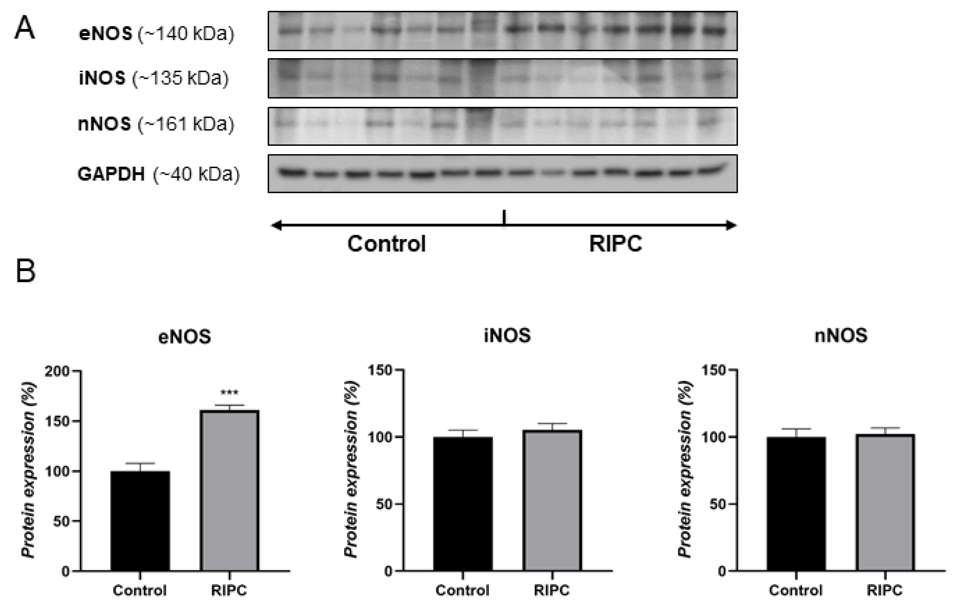 Antioxidants 10 01910 g001