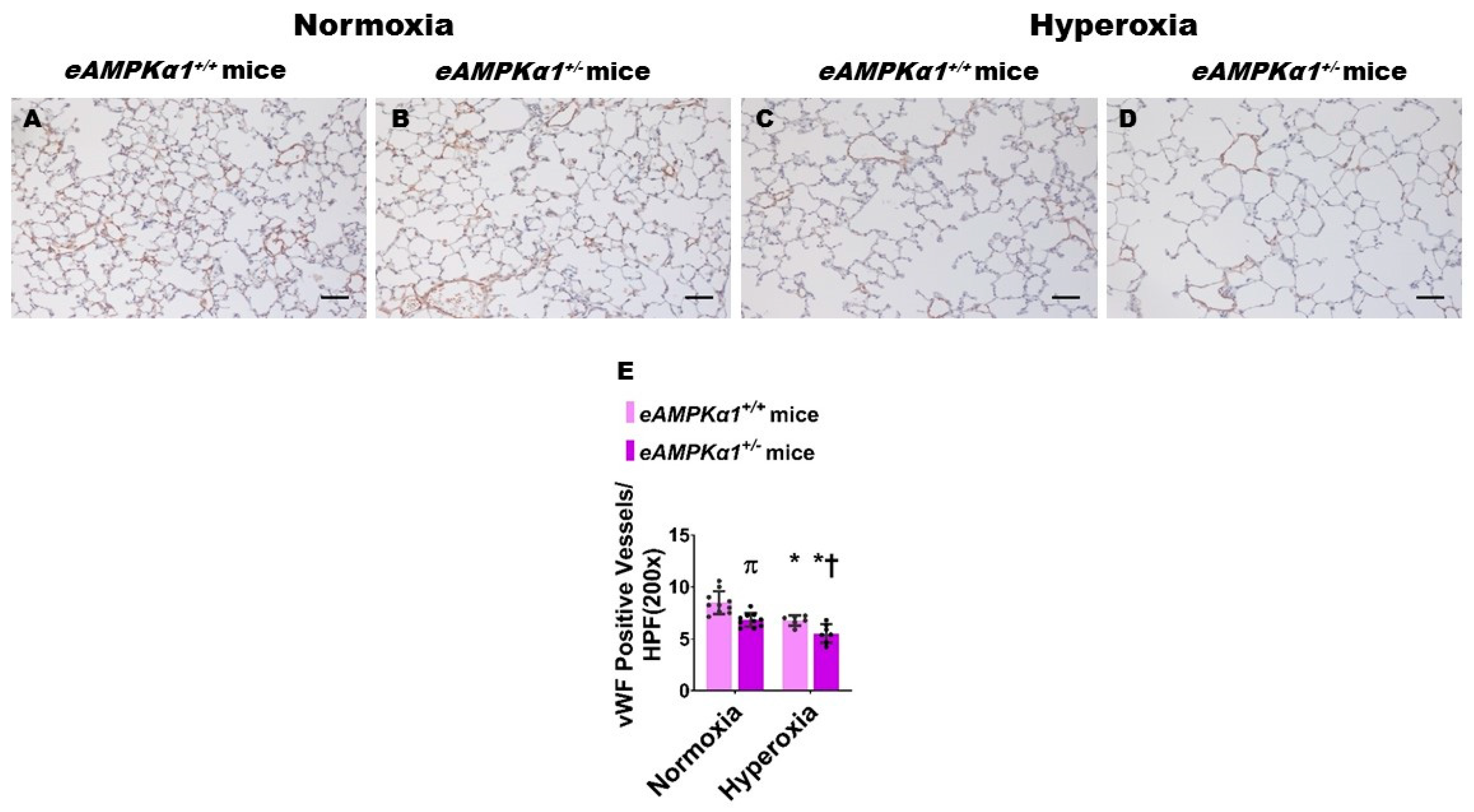 Antioxidants 10 01913 g002