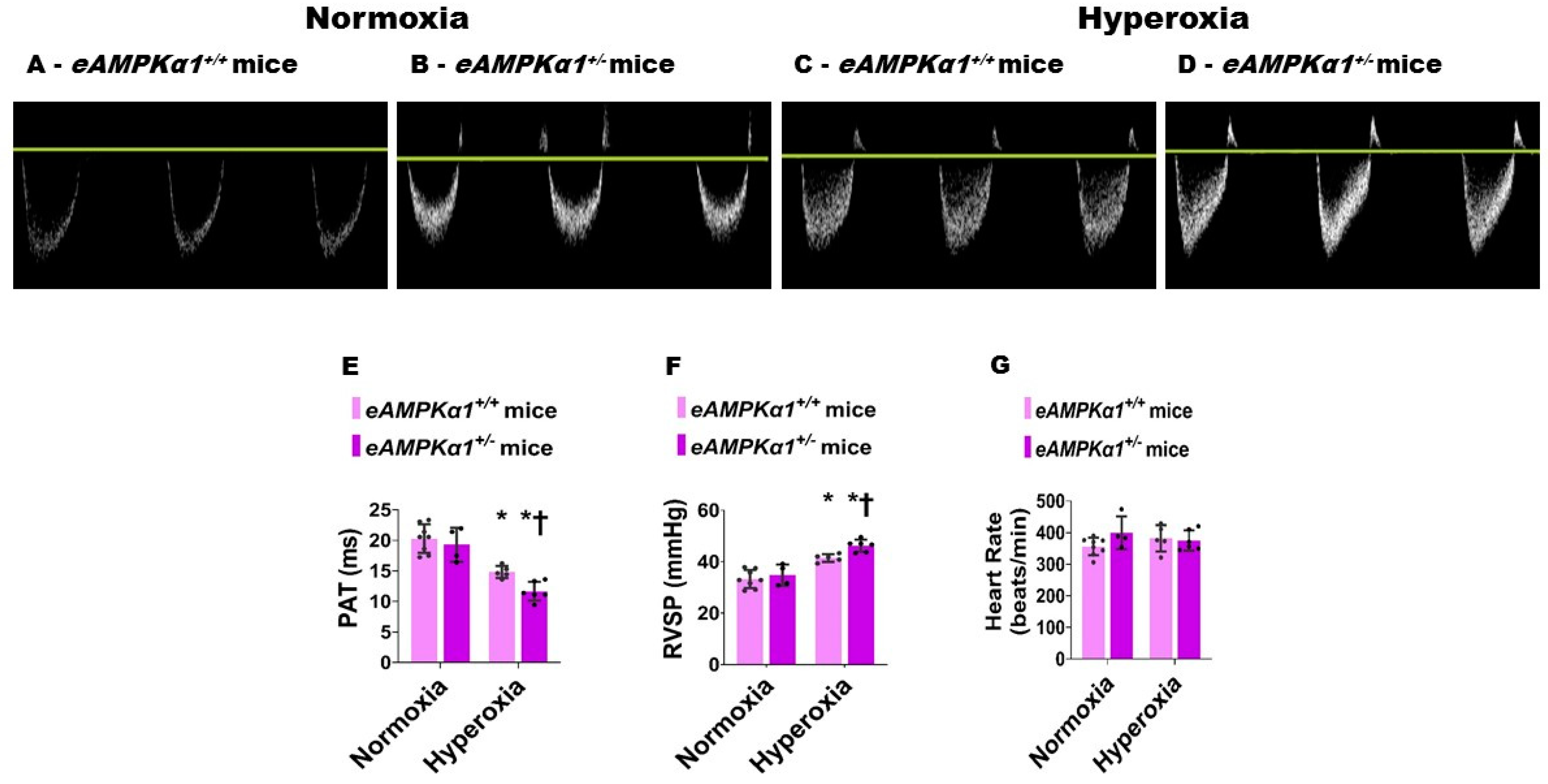 Antioxidants 10 01913 g005
