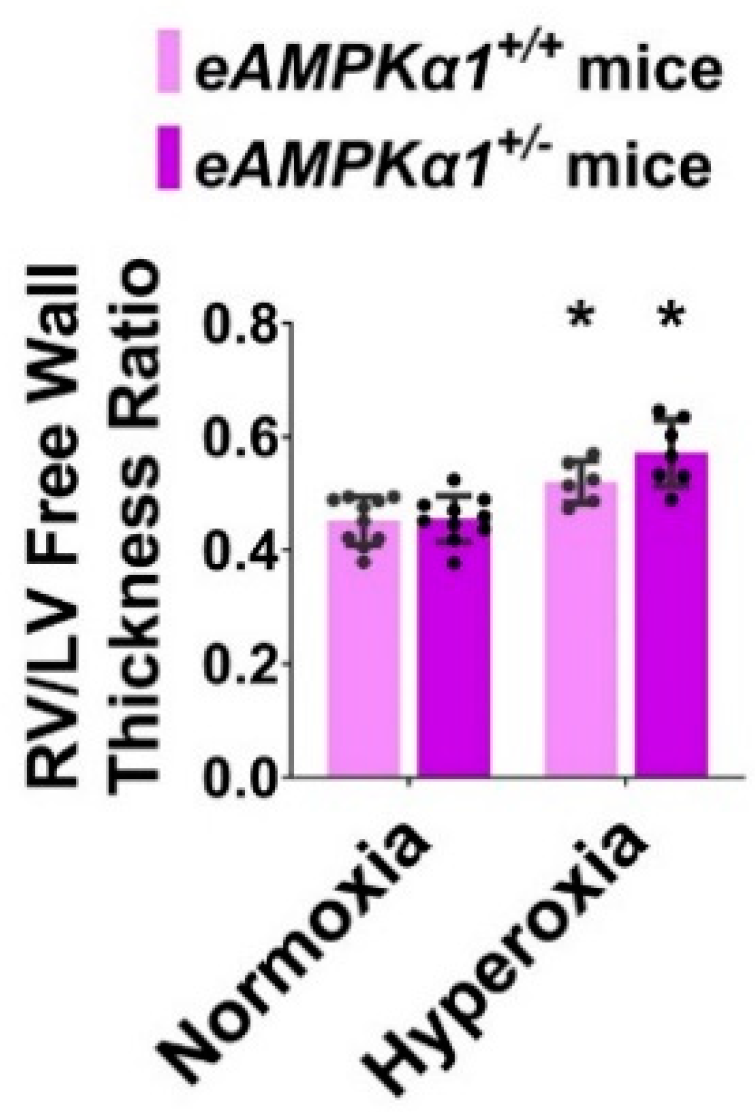 Antioxidants 10 01913 g006