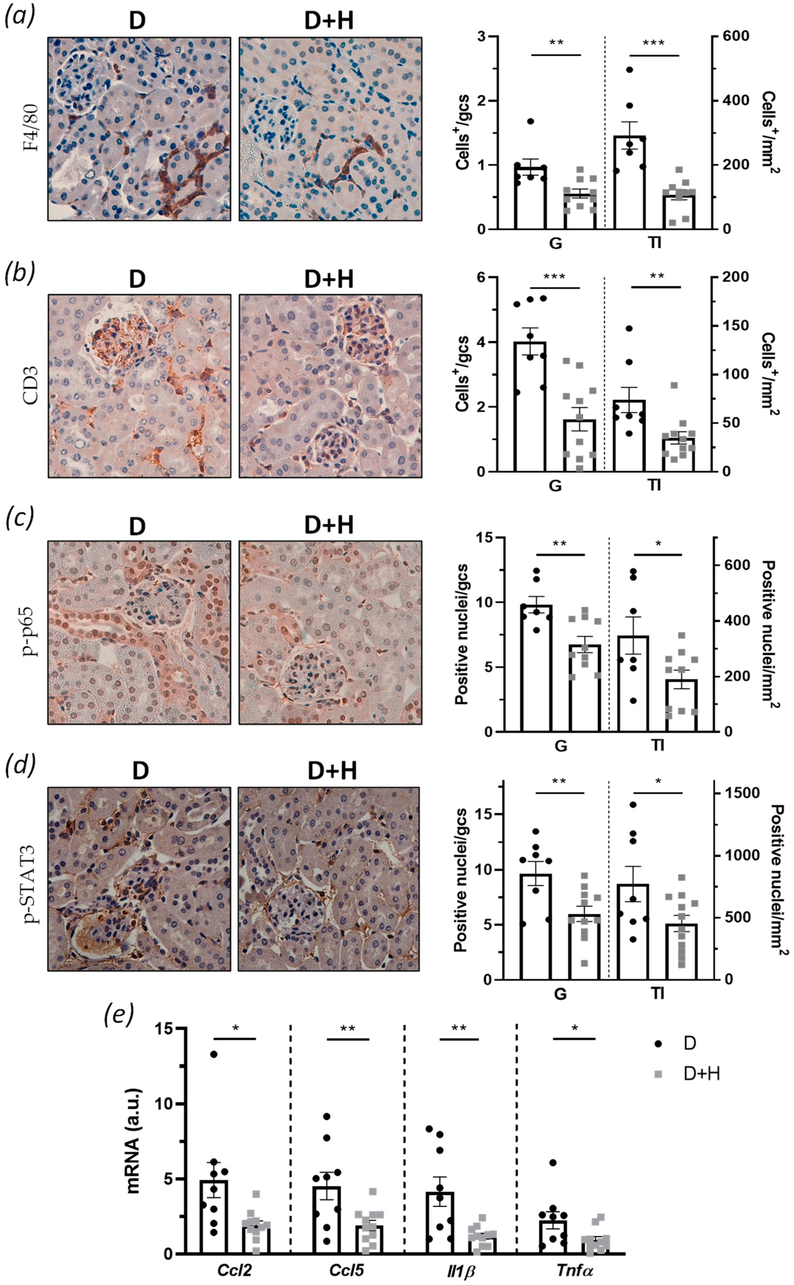 Antioxidants 10 01920 g004
