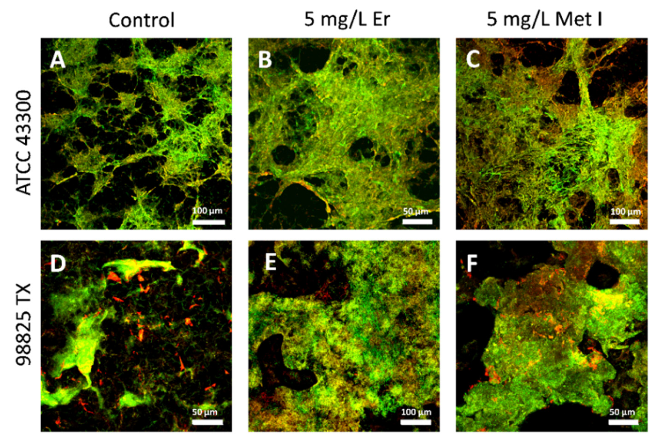 Antioxidants 10 01922 g003