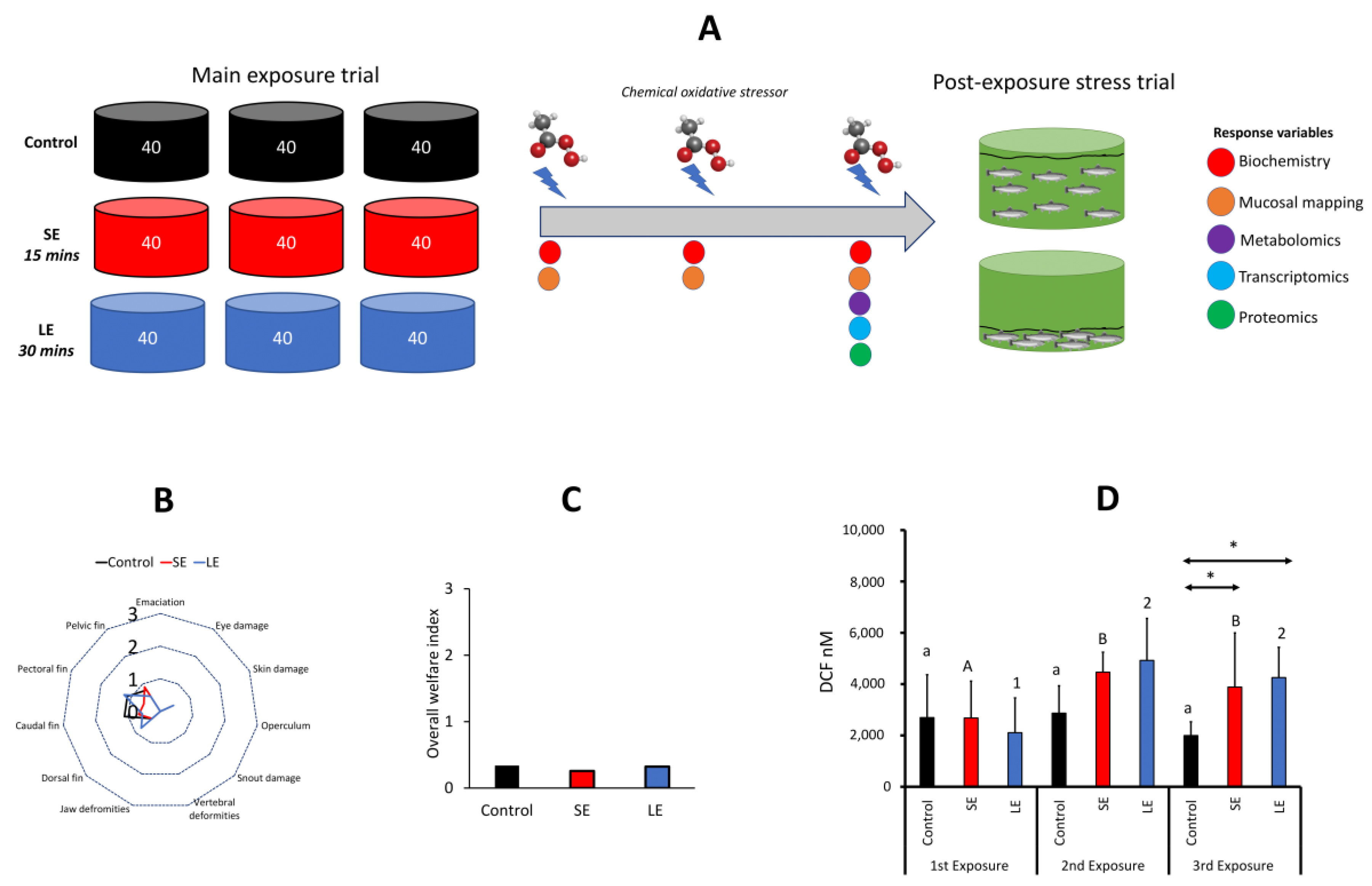 Antioxidants 10 01931 g001