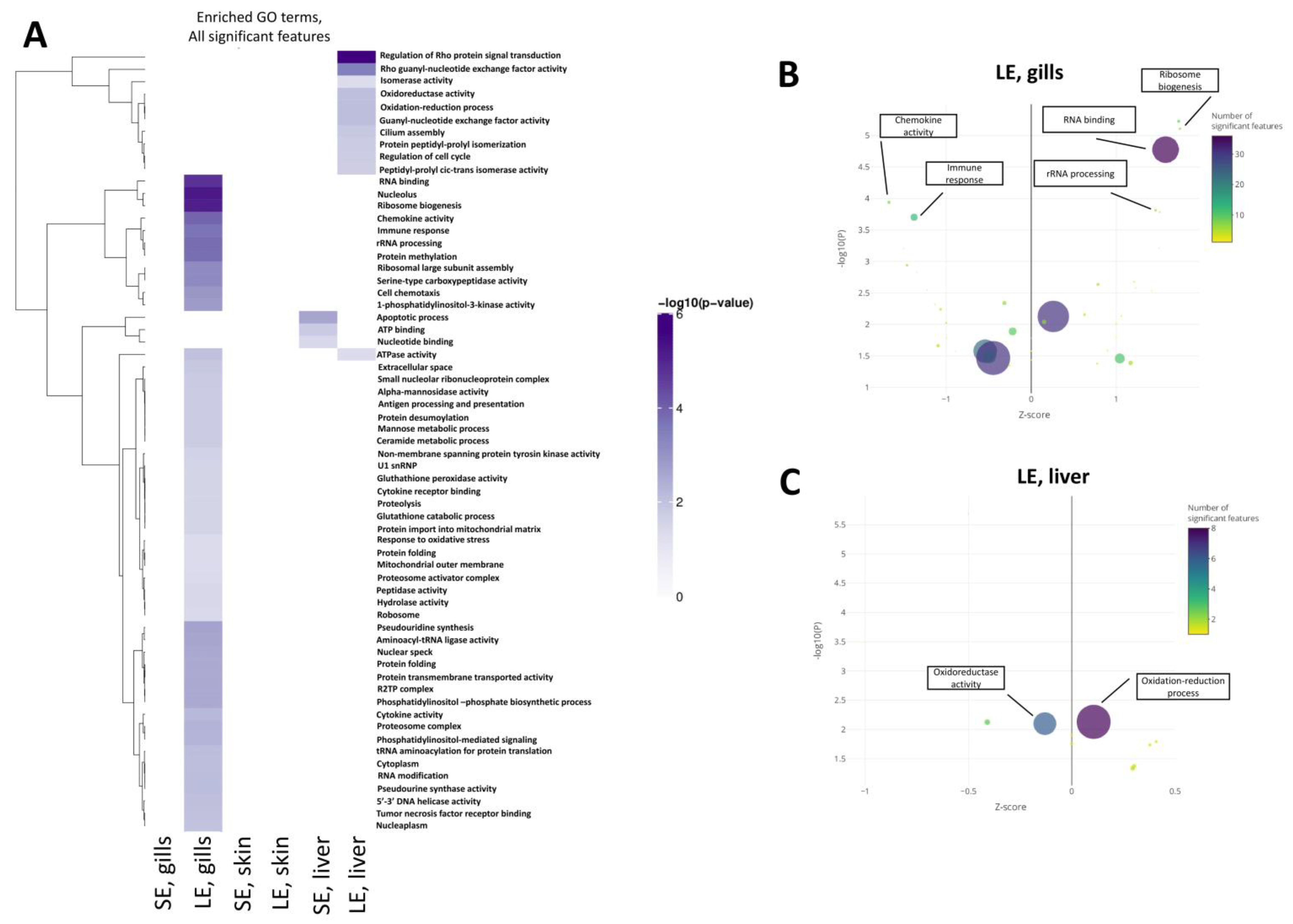 Antioxidants 10 01931 g005