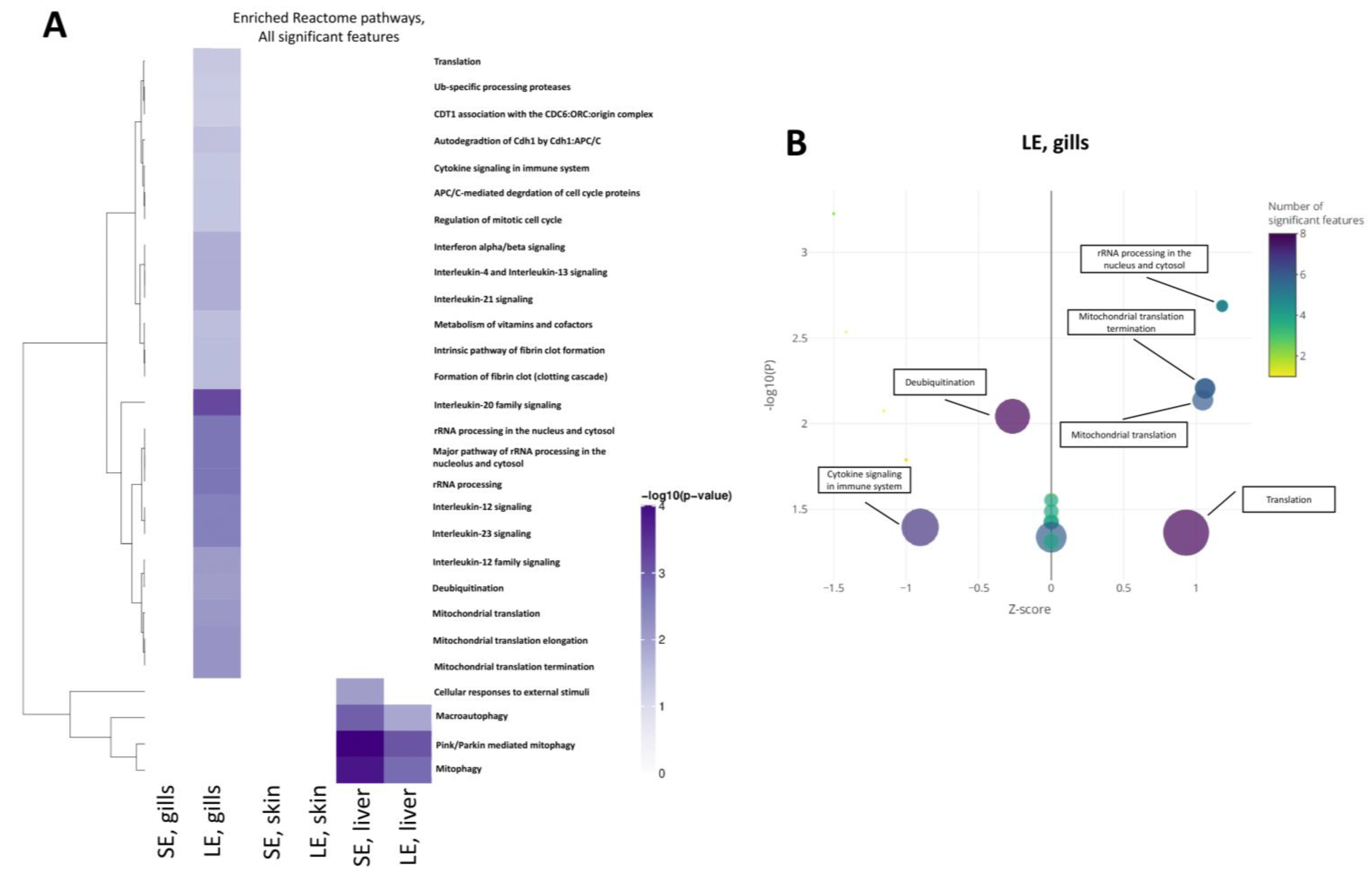 Antioxidants 10 01931 g006