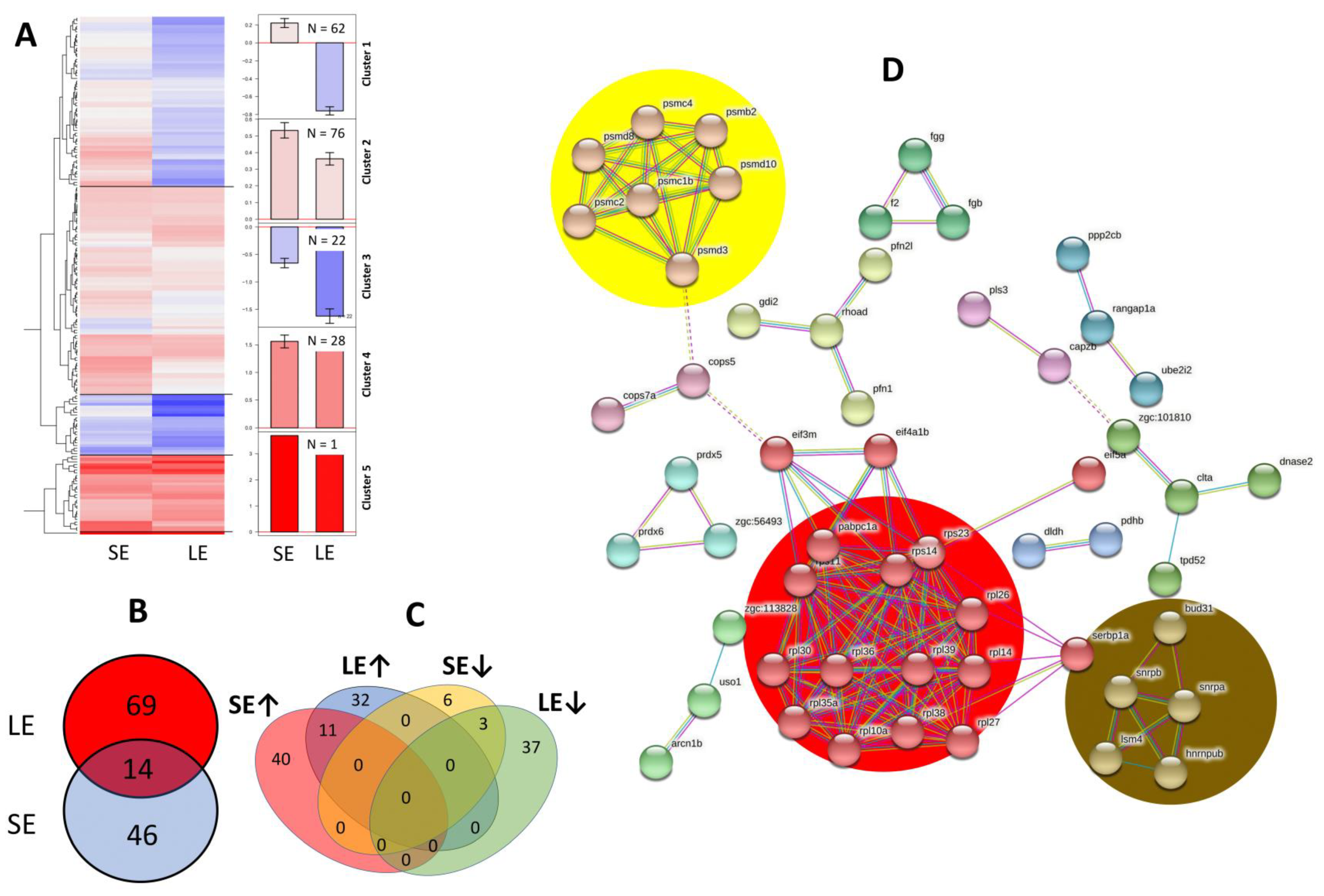 Antioxidants 10 01931 g007