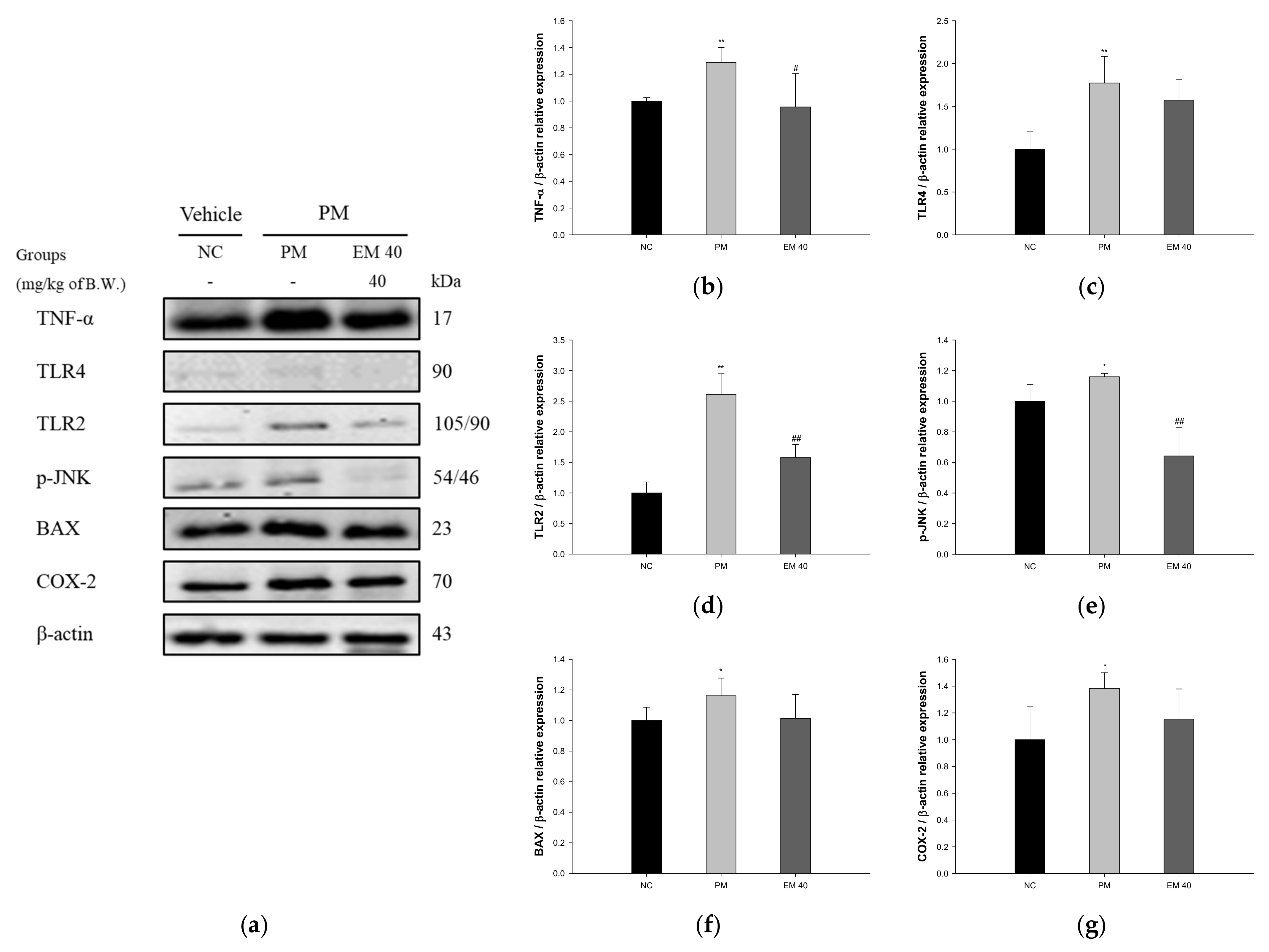 Antioxidants 10 01932 g008