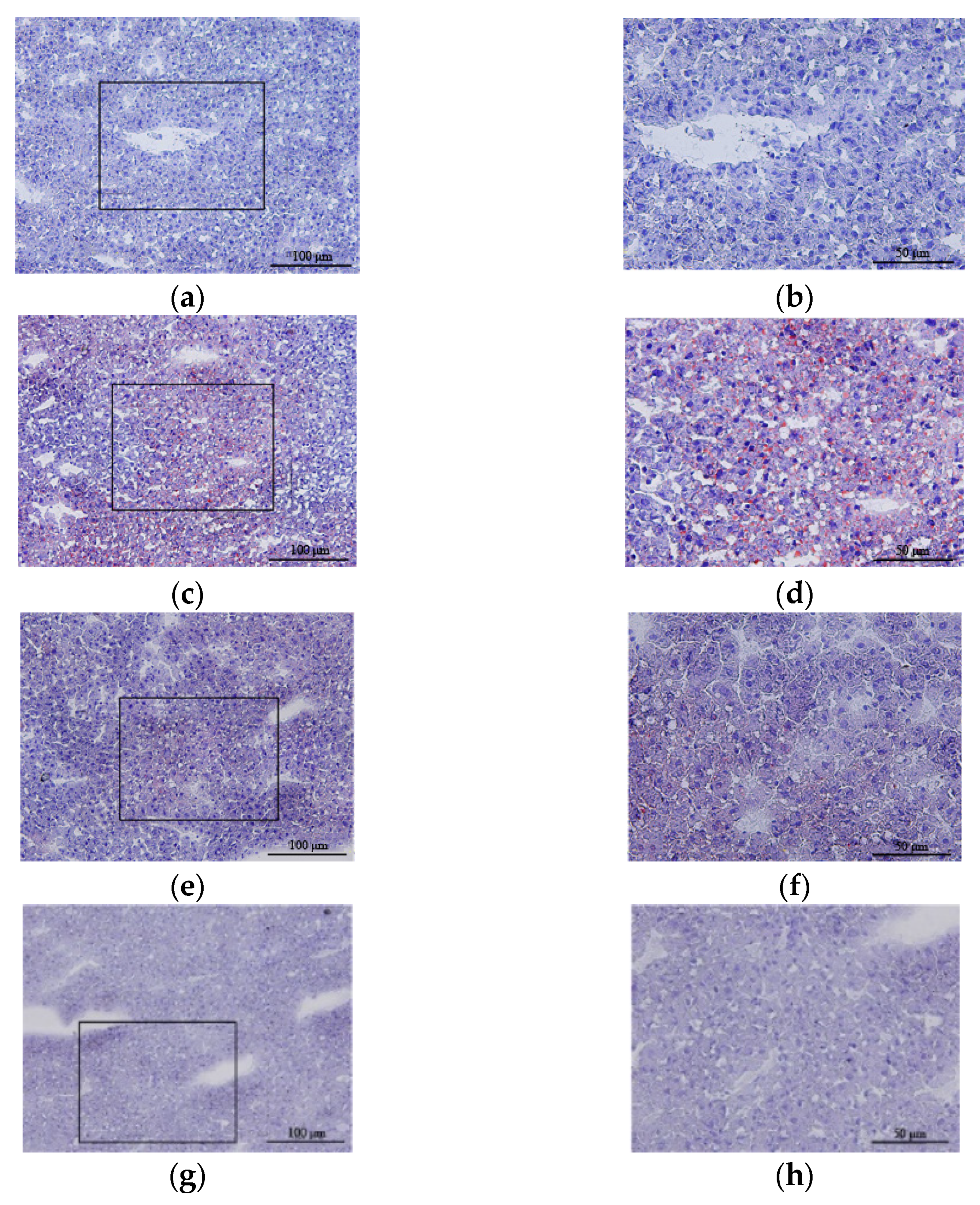 Antioxidants 10 01933 g005