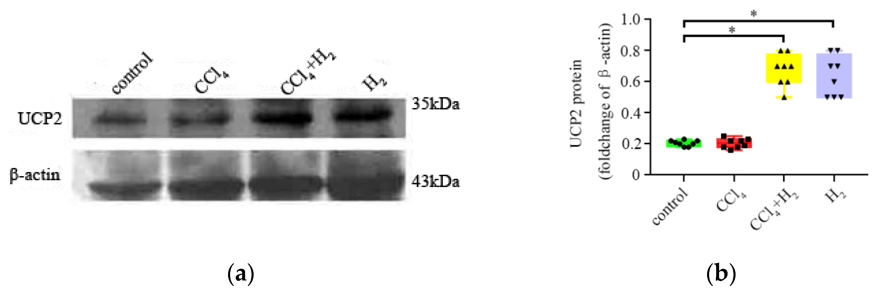 Antioxidants 10 01933 g010