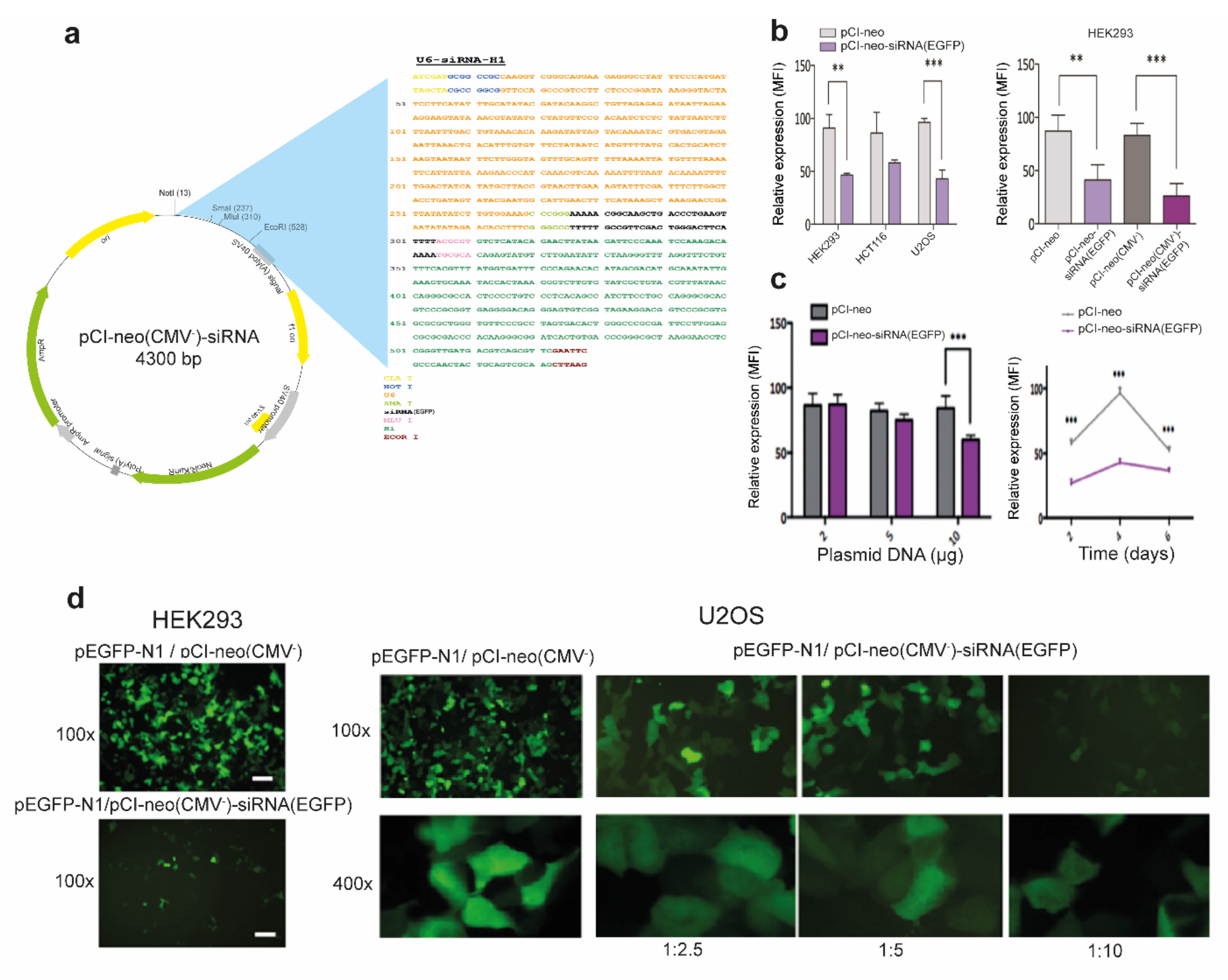 Antioxidants 10 01936 g001 Antioxidants 10 01936 g001