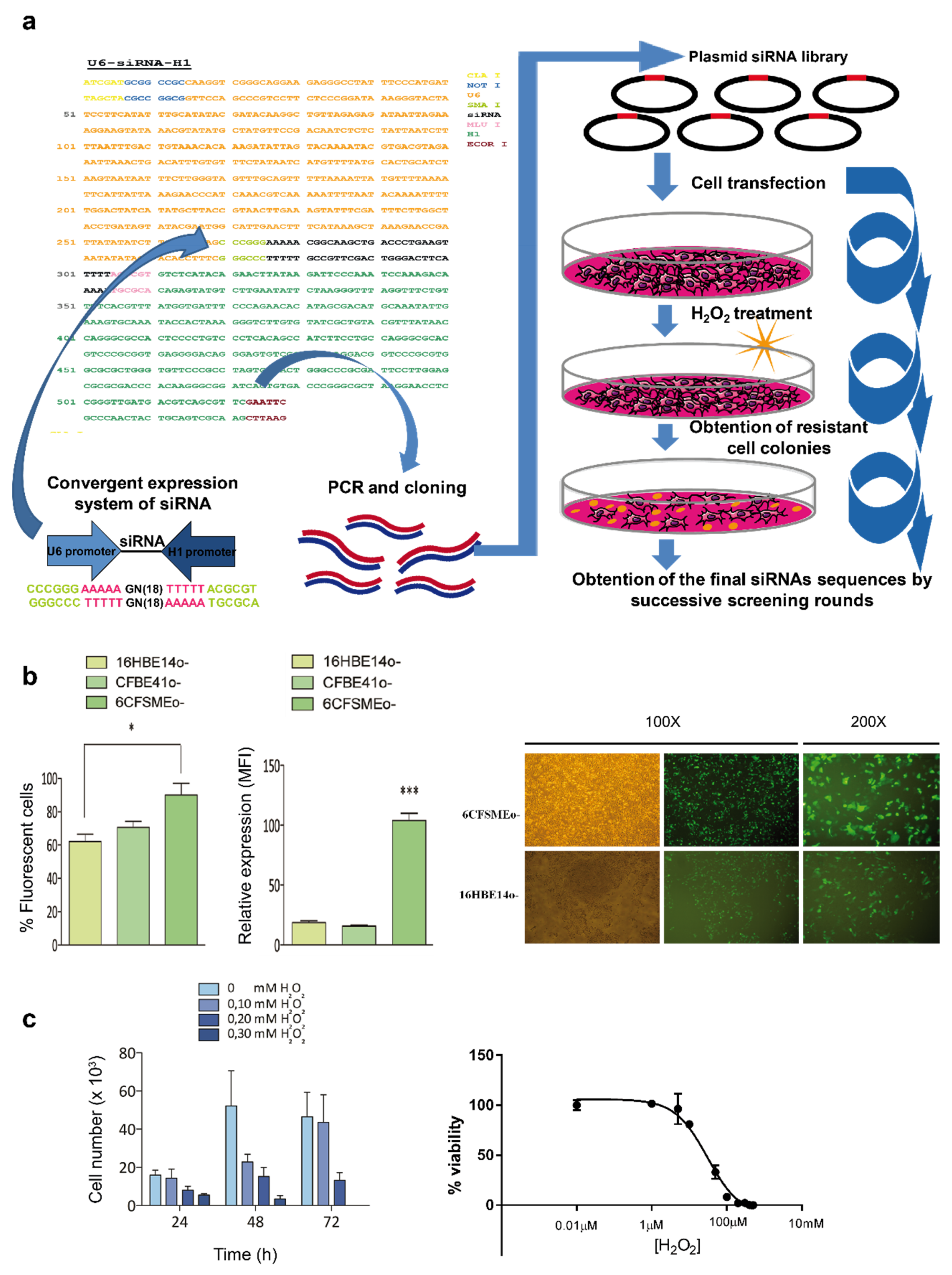 Antioxidants 10 01936 g002 Antioxidants 10 01936 g002