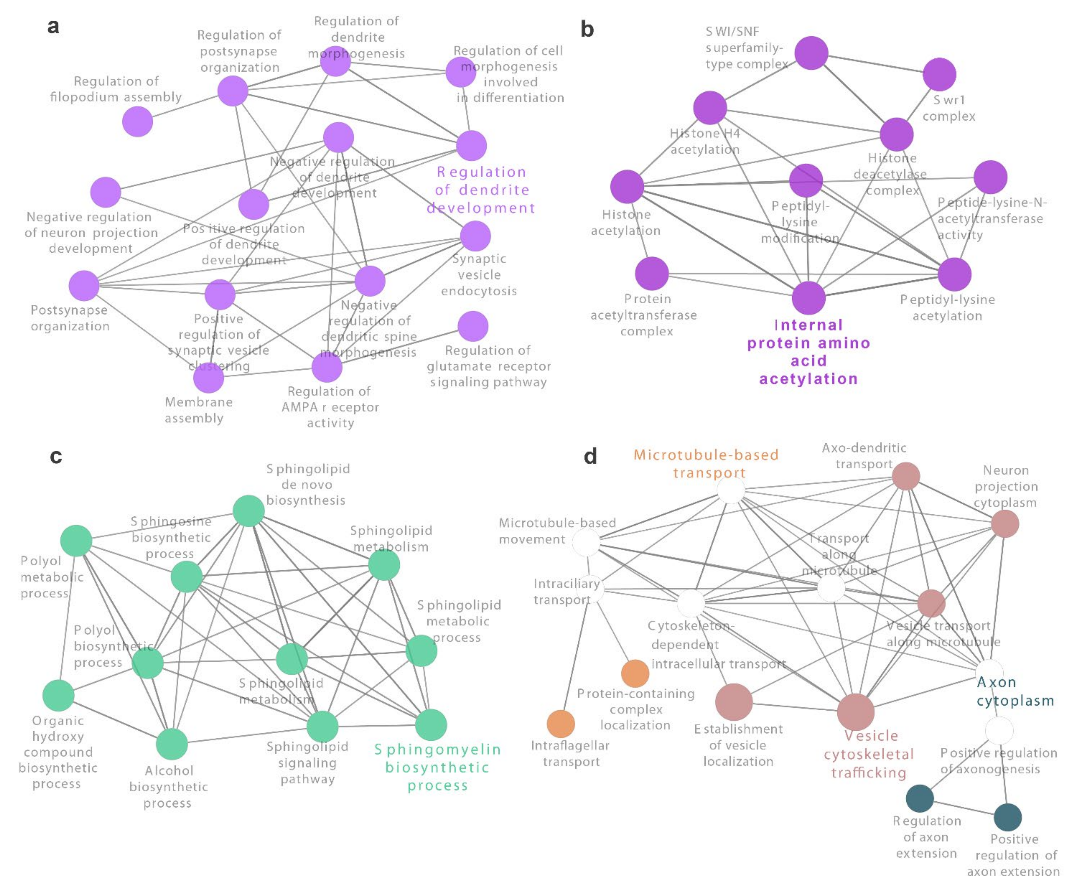Antioxidants 10 01936 g005 Antioxidants 10 01936 g005