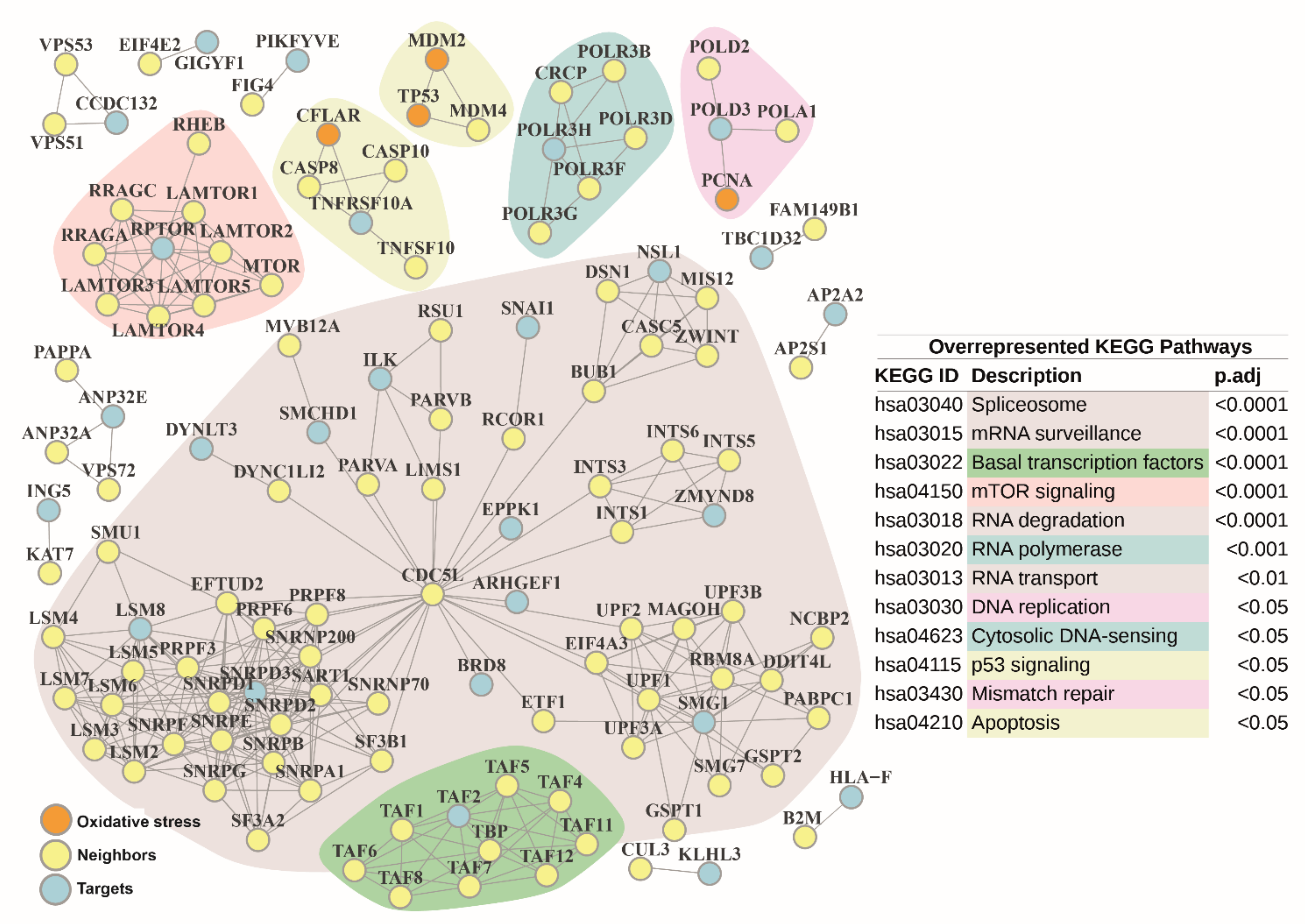 Antioxidants 10 01936 g006 Antioxidants 10 01936 g006