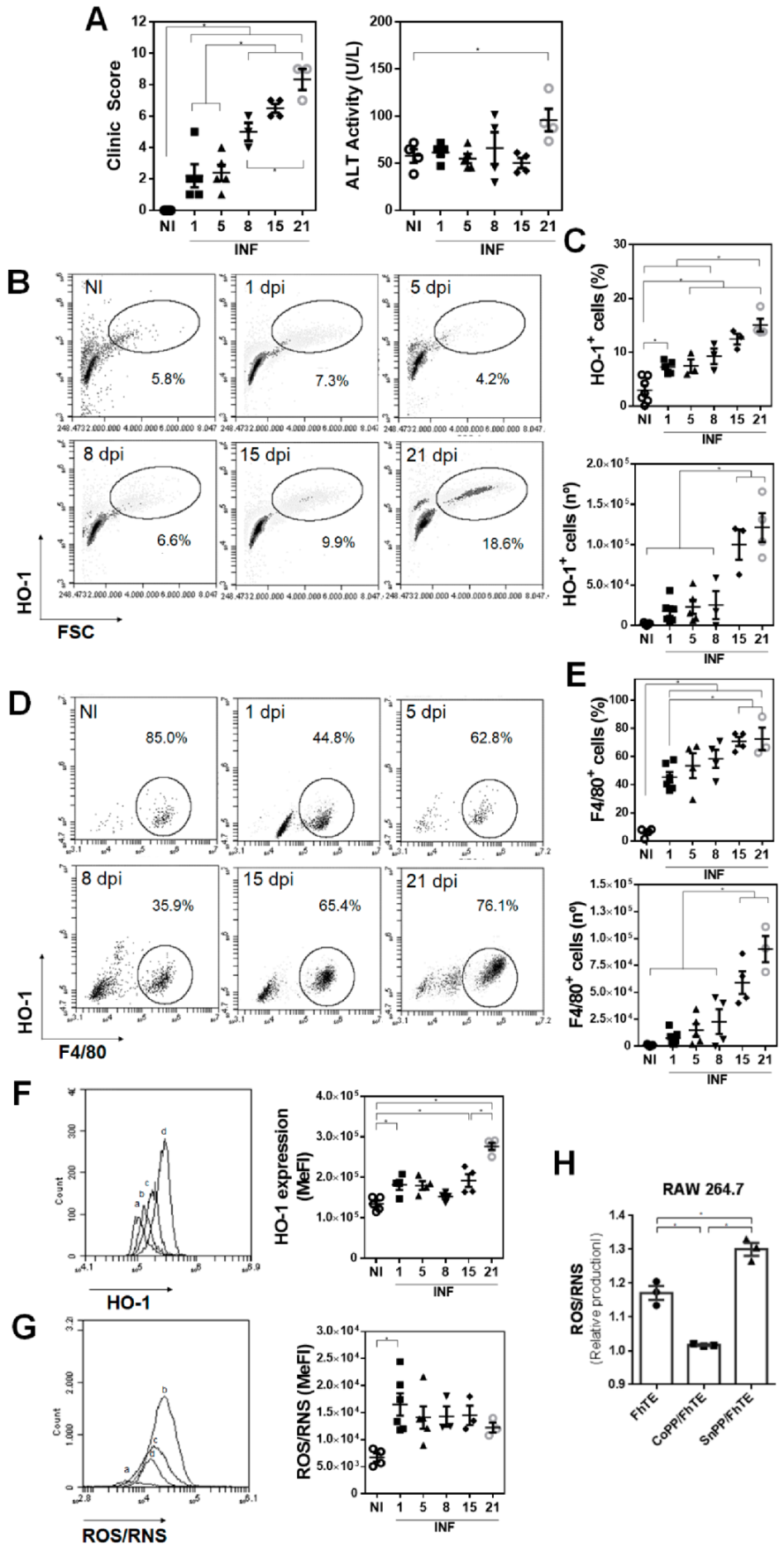 Antioxidants 10 01938 g001