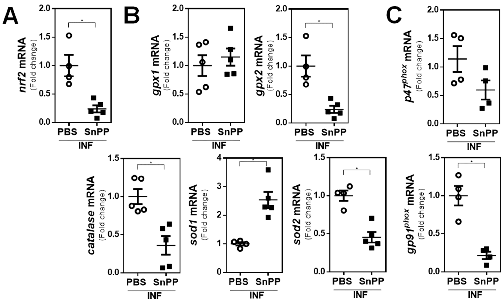 Antioxidants 10 01938 g005