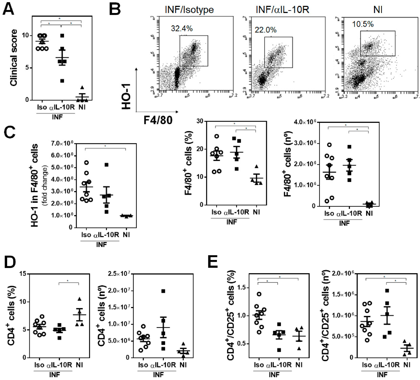 Antioxidants 10 01938 g008